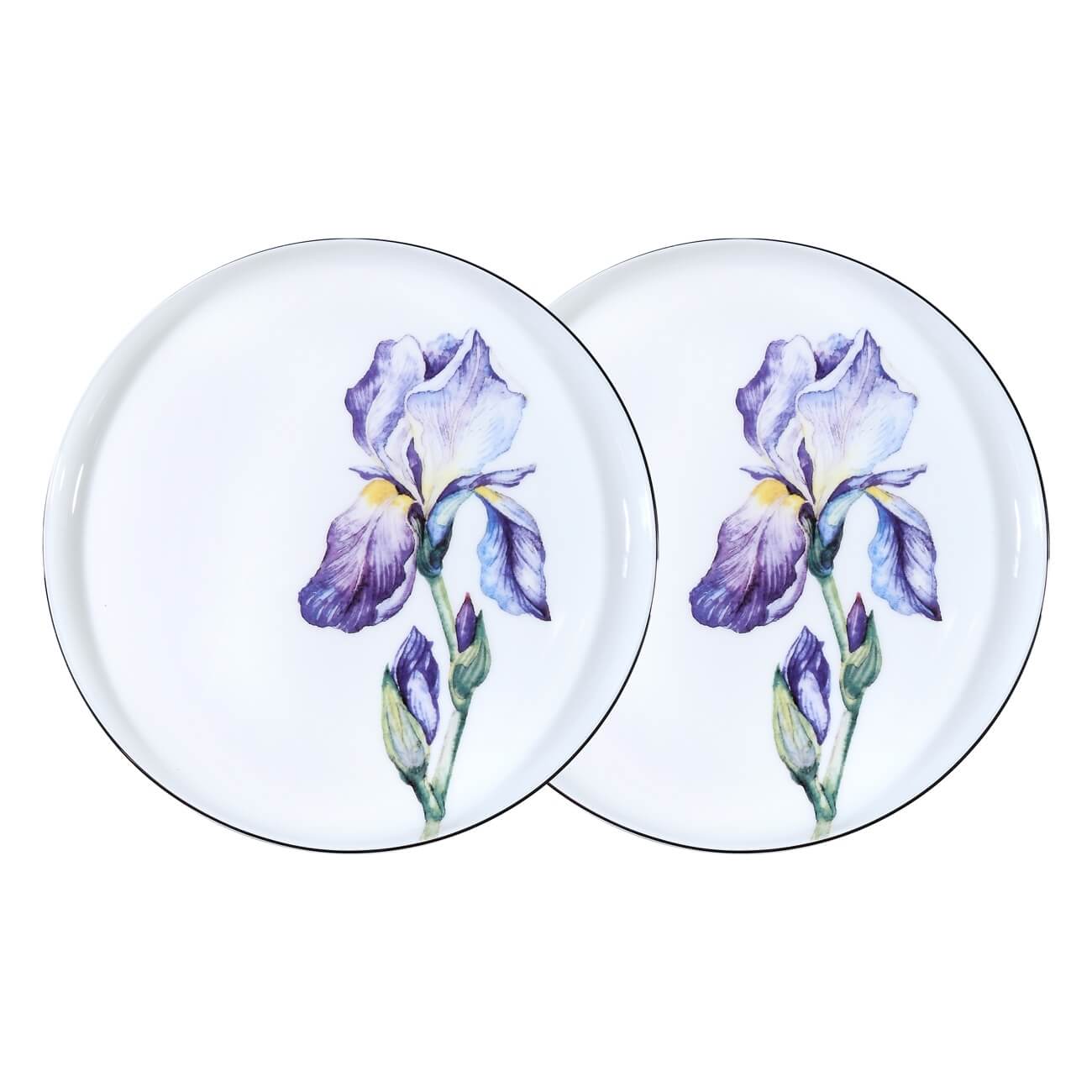 Тарелка закусочная, 24 см, 2 шт, фарфор F, с серебристым кантом, Ирис, Antarctica Flowers
Тарелка закусочная, 24 см, 2 шт, фарфор F, с серебристым кантом, Ирис, Antarctica Flowers