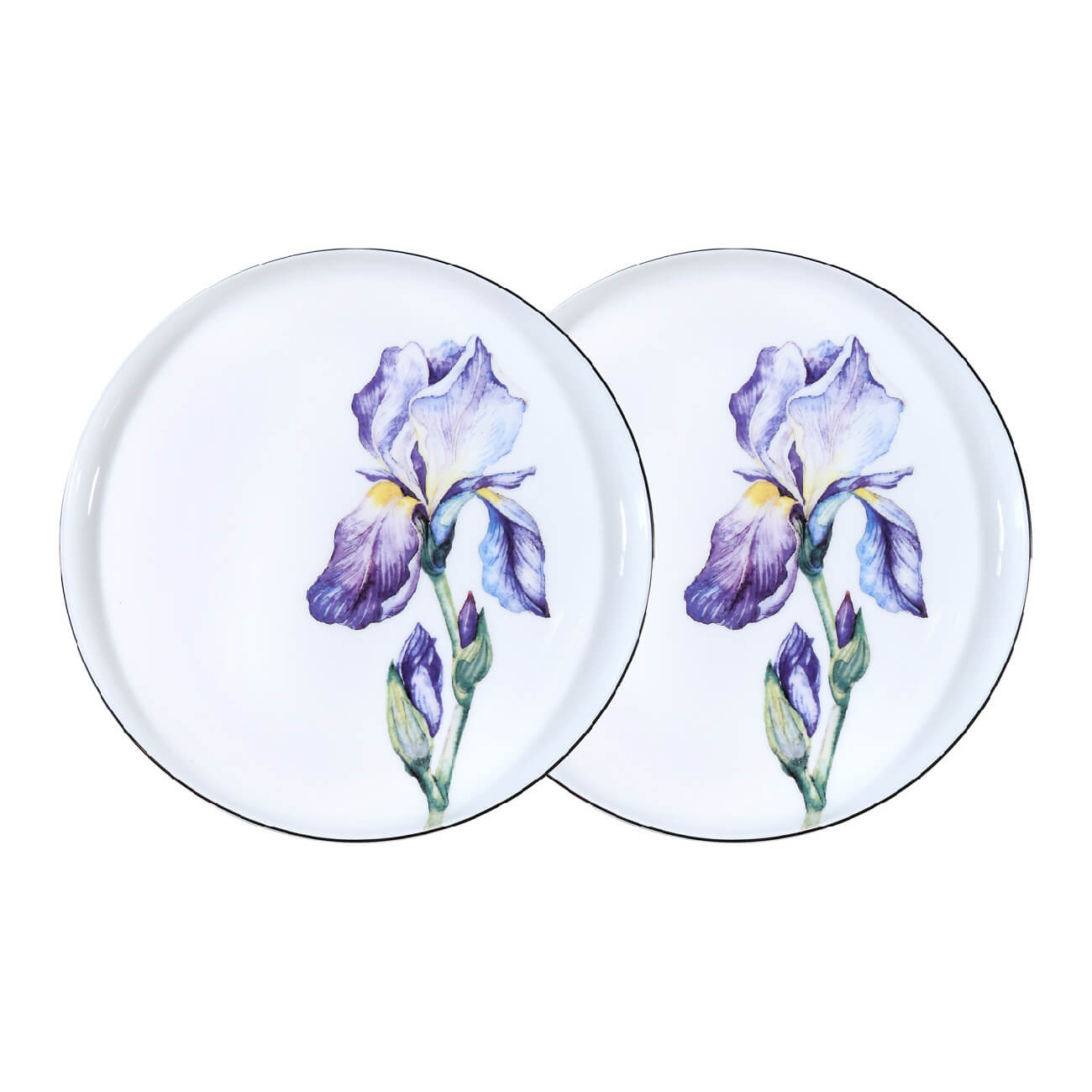 Тарелка десертная, 20 см, 2 шт, фарфор F, с серебристым кантом, Ирис, Antarctica Flowers
Тарелка десертная, 20 см, 2 шт, фарфор F, с серебристым кантом, Ирис, Antarctica Flowers