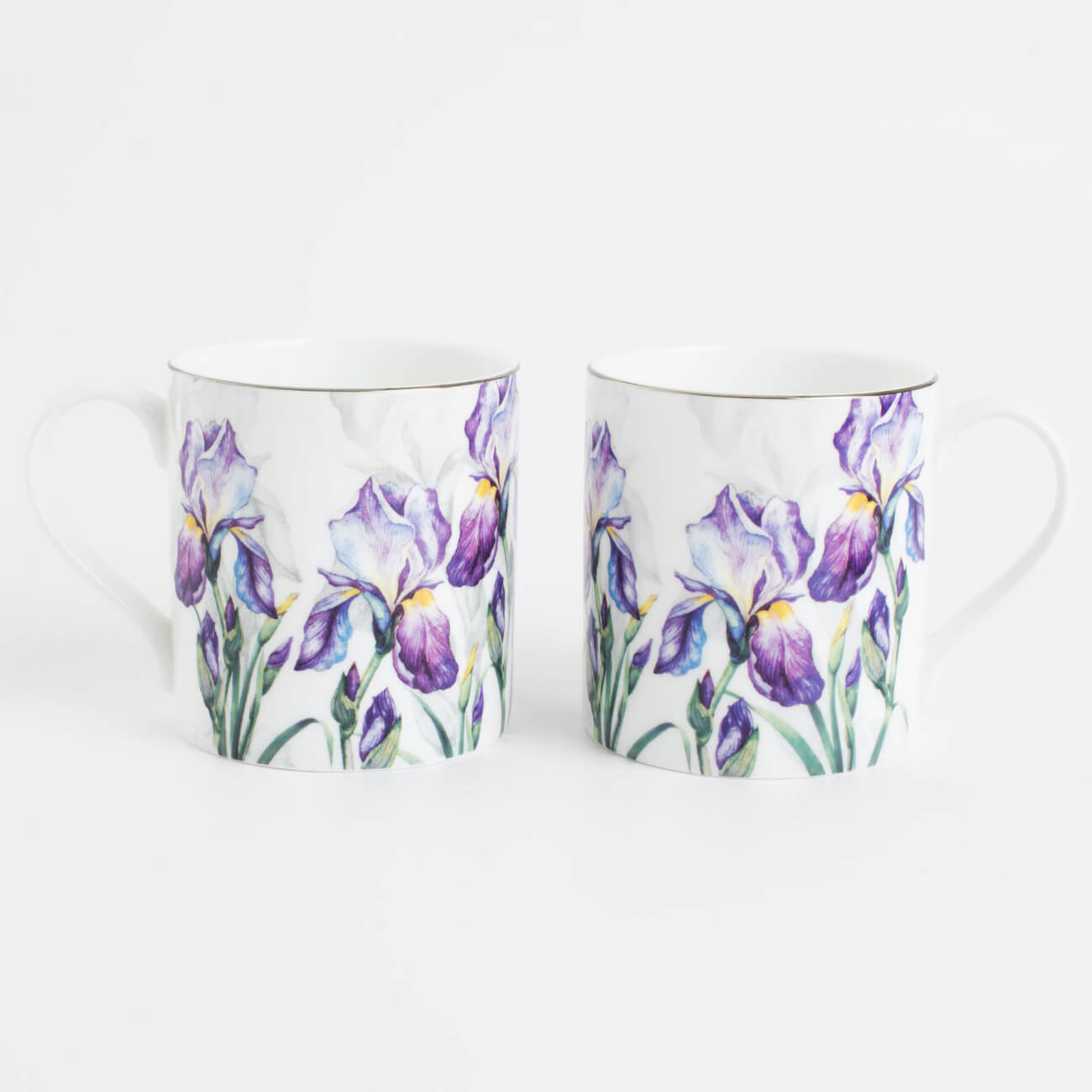 Кружка, 380 мл, 2 шт, фарфор F, белая, с серебристым кантом, Ирисы, Antarctica Flowers
Кружка, 380 мл, 2 шт, фарфор F, белая, с серебристым кантом, Ирисы, Antarctica Flowers