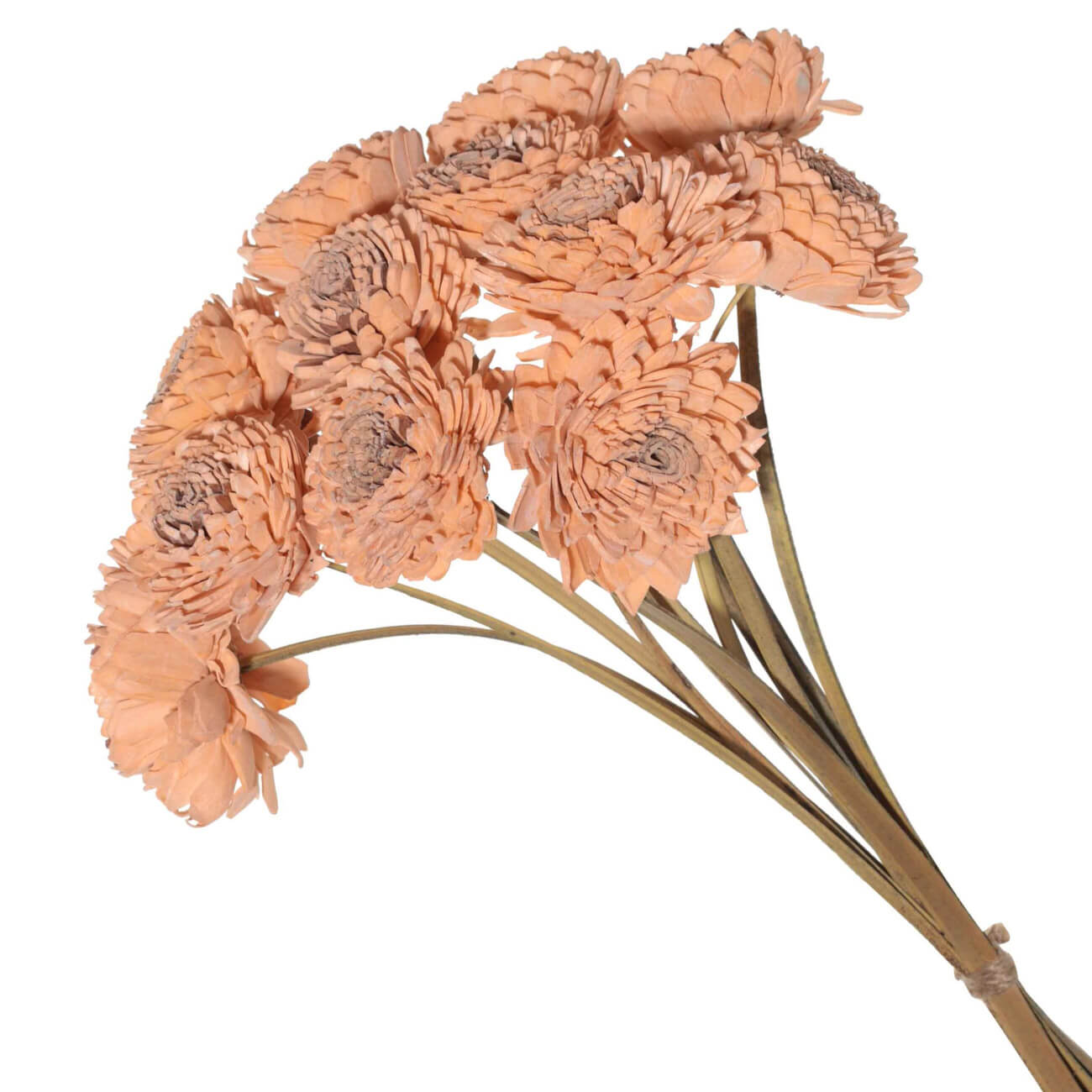 Букет декоративный, 35 см, сухоцветы, Сола, Dried flower изображение № 1