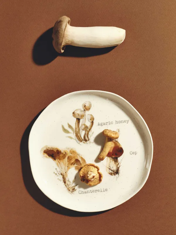 Тарелка закусочная, 19 см, фарфор N, молочная, Грибы, Autumn gifts, image-5