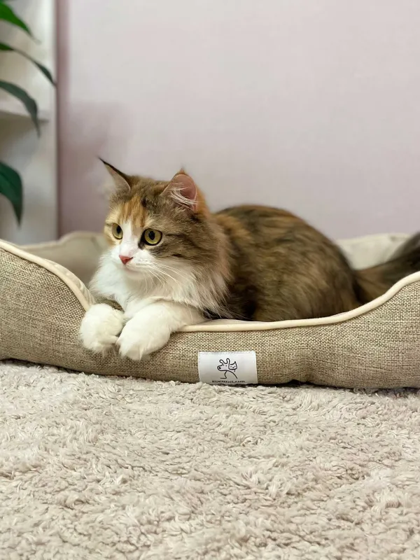 Лежак для животных, 61х50х13 см, полиэстер, бежевый, Funny pet, image-2