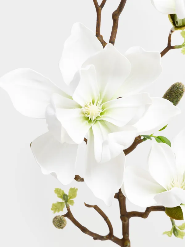 Ветка декоративная, 90 см, Белая магнолия, Magnolia, image-2