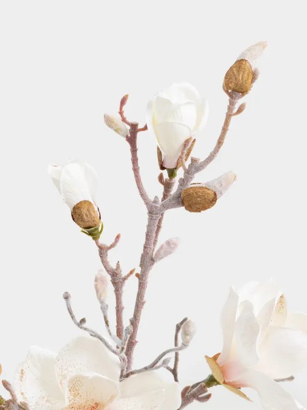Ветка декоративная, 85 см, Белая магнолия, Magnolia, image-3