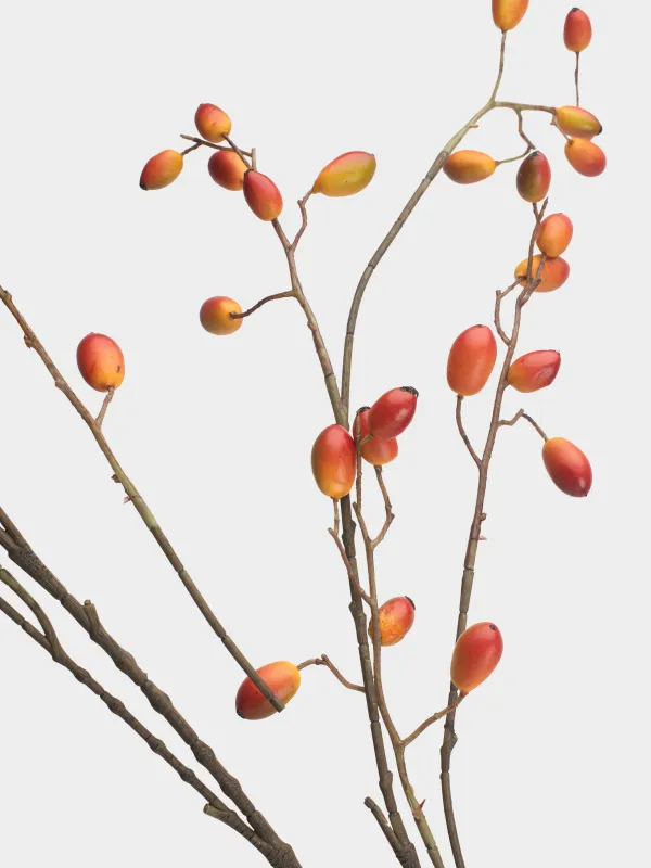 Ветка декоративная, 1,2 м, Барбарис, Fruit decor, image-2