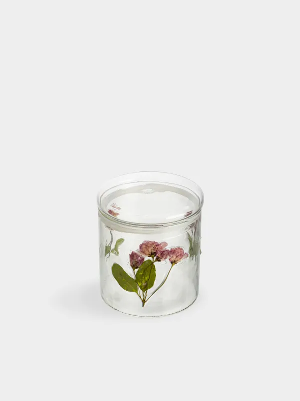 Банка для сыпучих продуктов, 500 мл, Clear dried, image-1