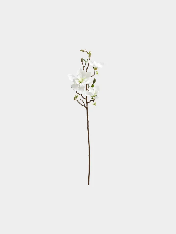 Ветка декоративная, 90 см, Белая магнолия, Magnolia, image-0