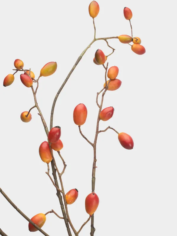 Ветка декоративная, 1,2 м, Барбарис, Fruit decor, image-3