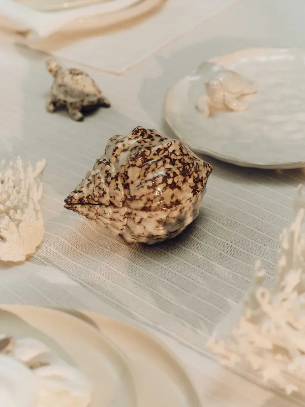 Шкатулка для украшений, 13х10 см, керамика R, молочно-коричневая, Ракушка, Seaside, image-5