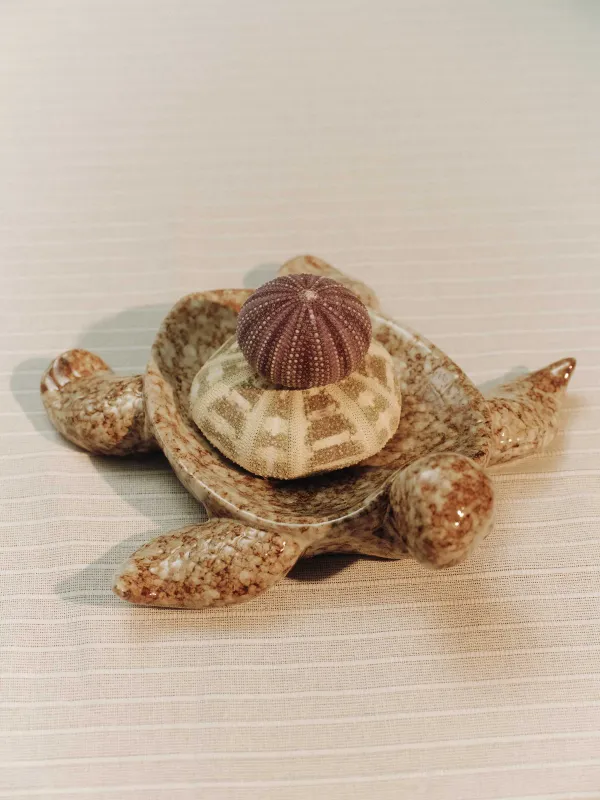 Блюдо декоративное, 26х23 см, Черепаха, Grand turtle, image-5