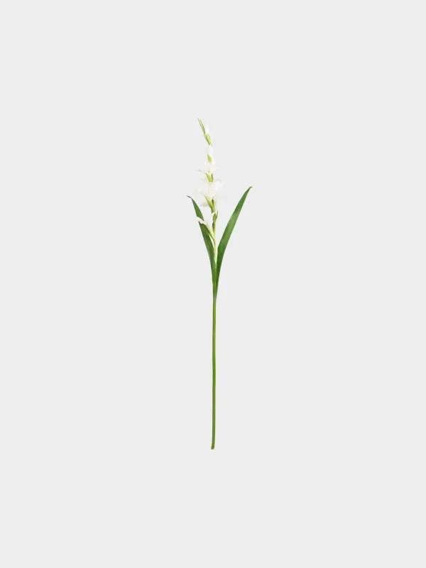 Цветок искусственный, 1 м, Гладиолус, Flower garden, image-0