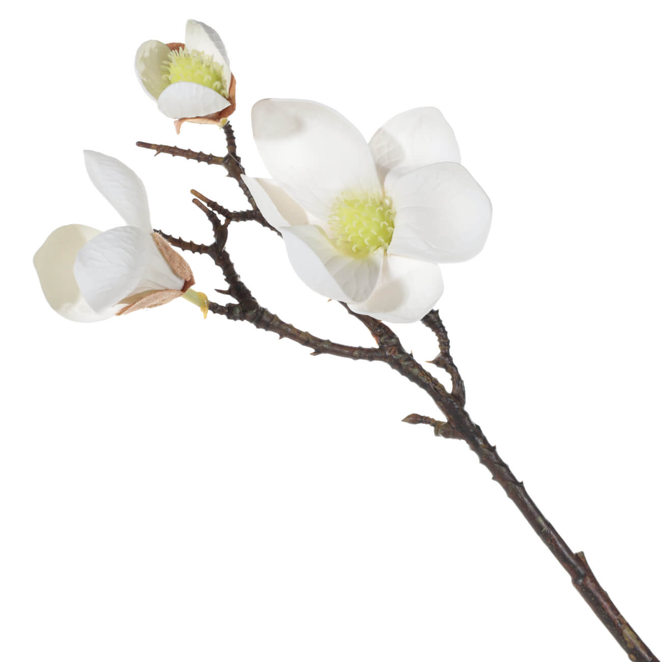 Ветка декоративная, 42 см, пластик/сталь, Белая магнолия, Magnolia
