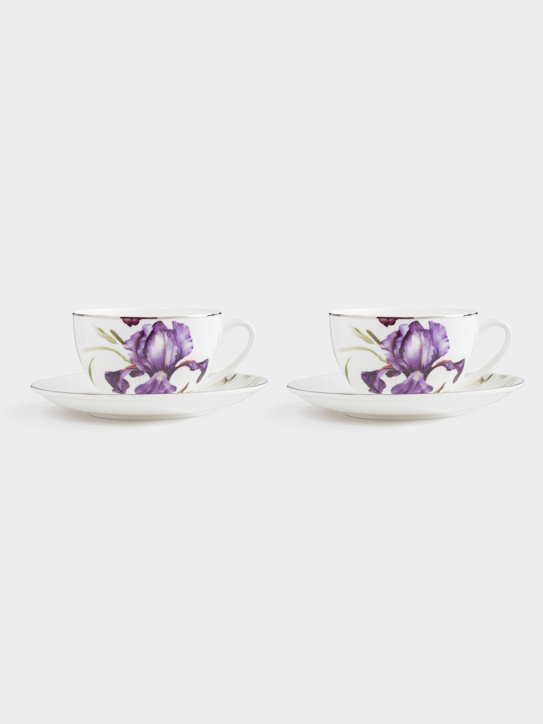 Пара чайная, 2 перс, 4 пр, 300 мл, фарфор F, с серебристым кантом, Ирис, Antarctica Flowers, image-4