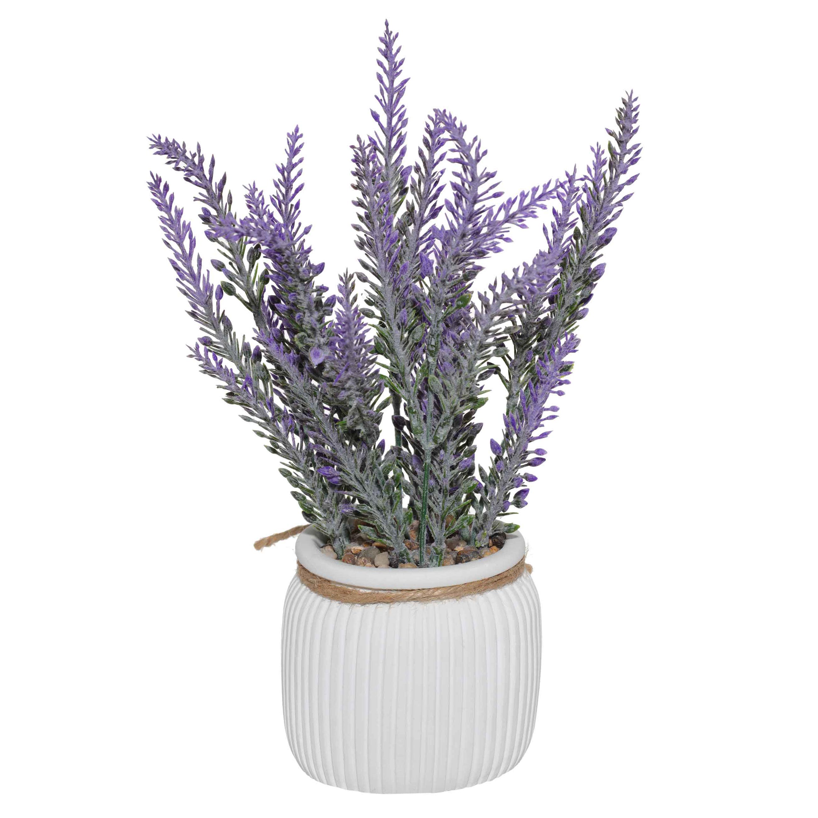 Растение искусственное, 26 см, в горшке, пластик/цемент, Лаванда, Lavender, image-1