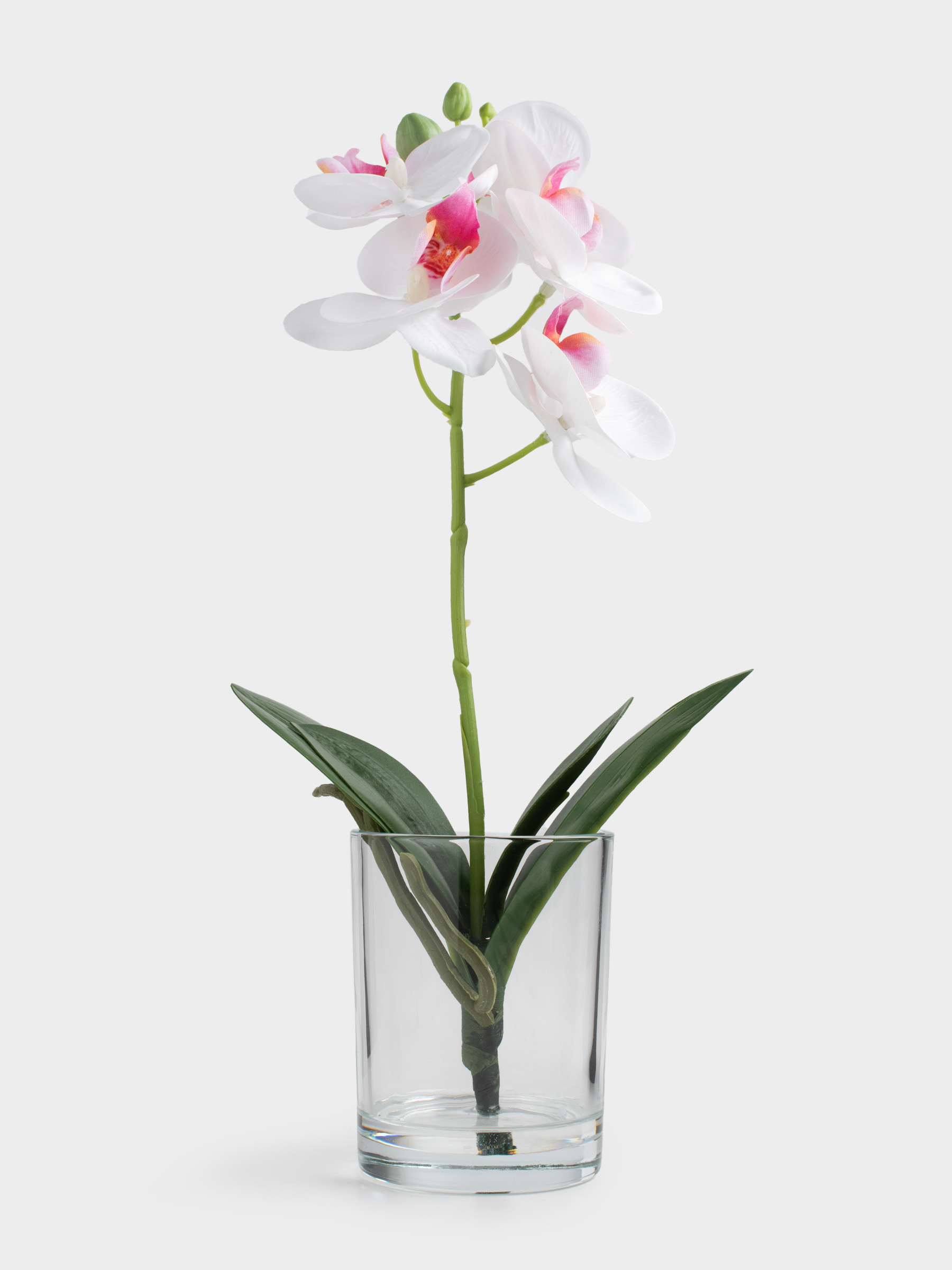 Букет искусственный, 26 см, в вазе, ТЭП/стекло, Белая орхидея, Orchid, image-0