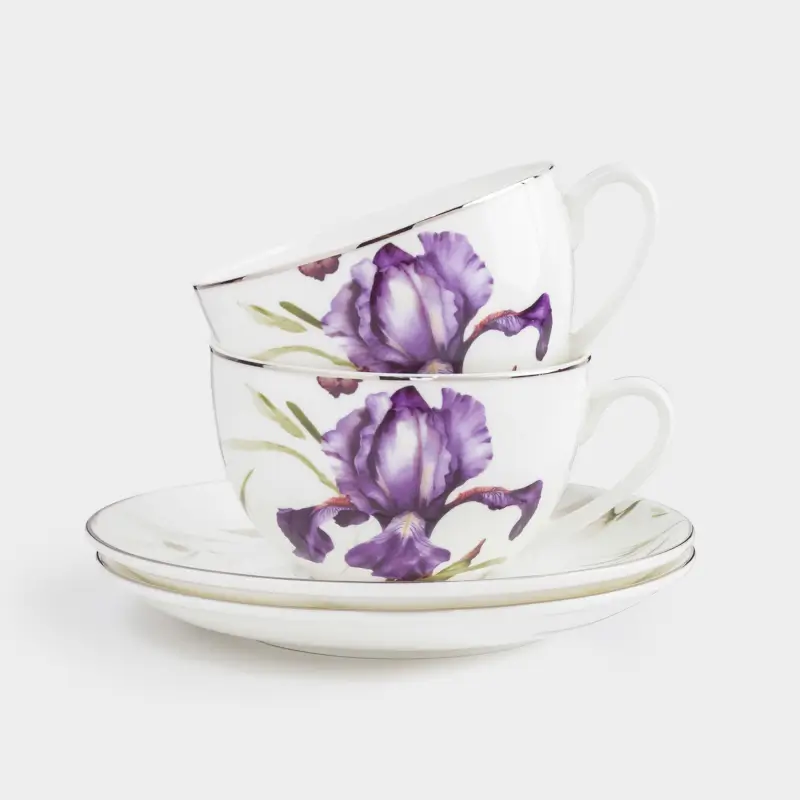 Пара чайная, 2 перс, 4 пр, 300 мл, фарфор F, с серебристым кантом, Ирис, Antarctica Flowers ,image-0
