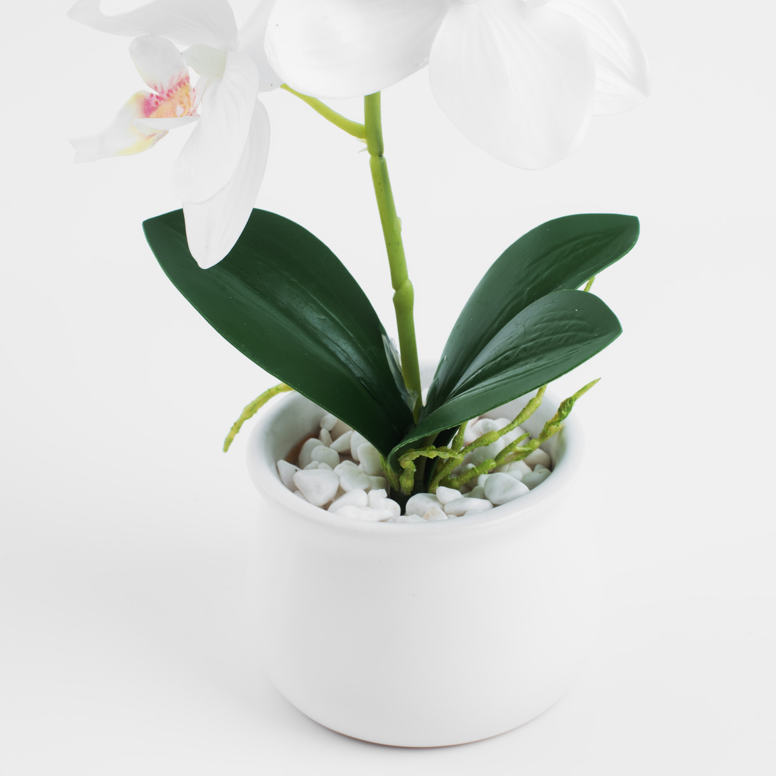 Растение искусственное, 25 см, в горшке, полиэстер/керамика, Белая орхидея, Orchid изображение № 3
