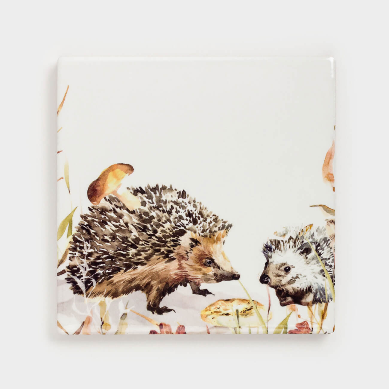 

Подставка под кружку, 11х11 см, керамика/пробка, квадратная, белая, Ежи, Hedgehog in leaves