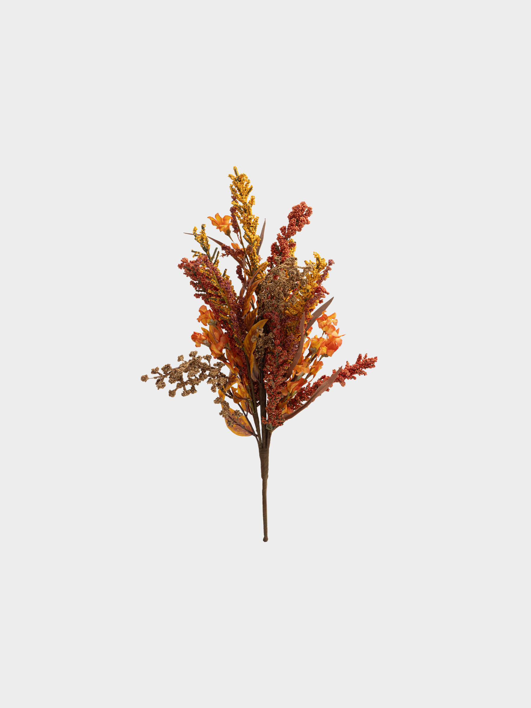 capsule-img