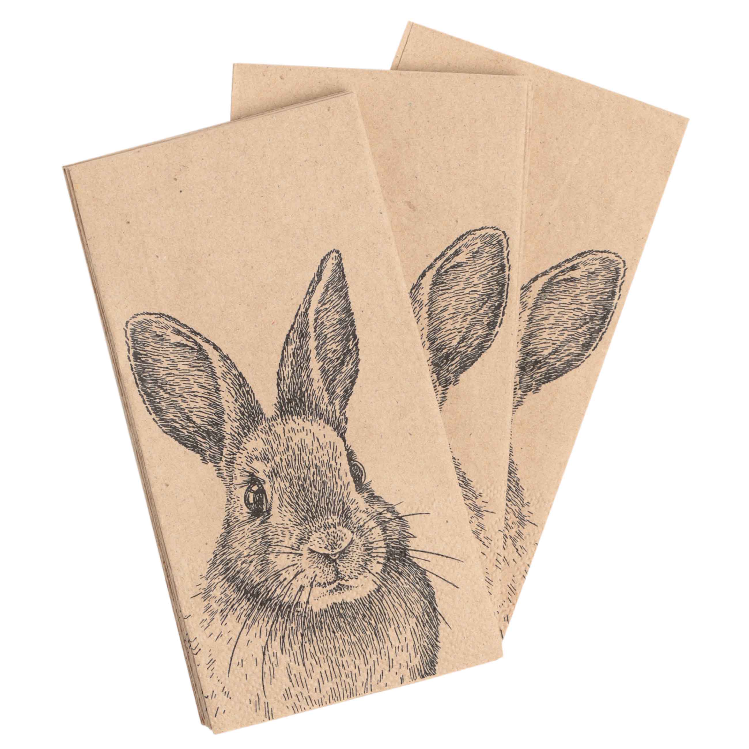 Салфетки бумажные, 33х33 см, 20 шт, прямоугольные, Кролик, Easter изображение № 2