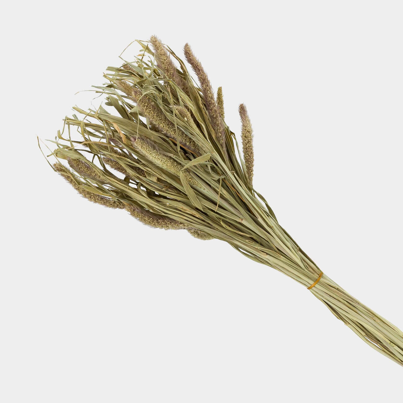 

Букет декоративный, 74 см, сухоцвет, Могара, Dried flower