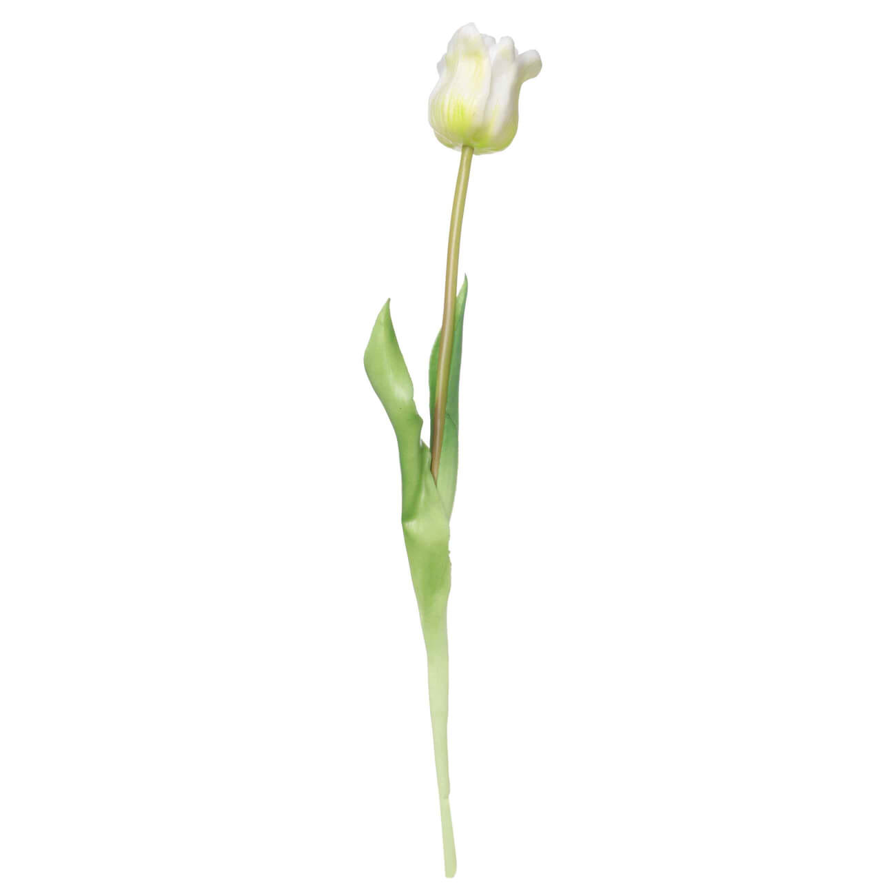 Цветок искусственный, 47 см, ТЭП, белый, Тюльпан, Tulip garden цветок волшебная страна