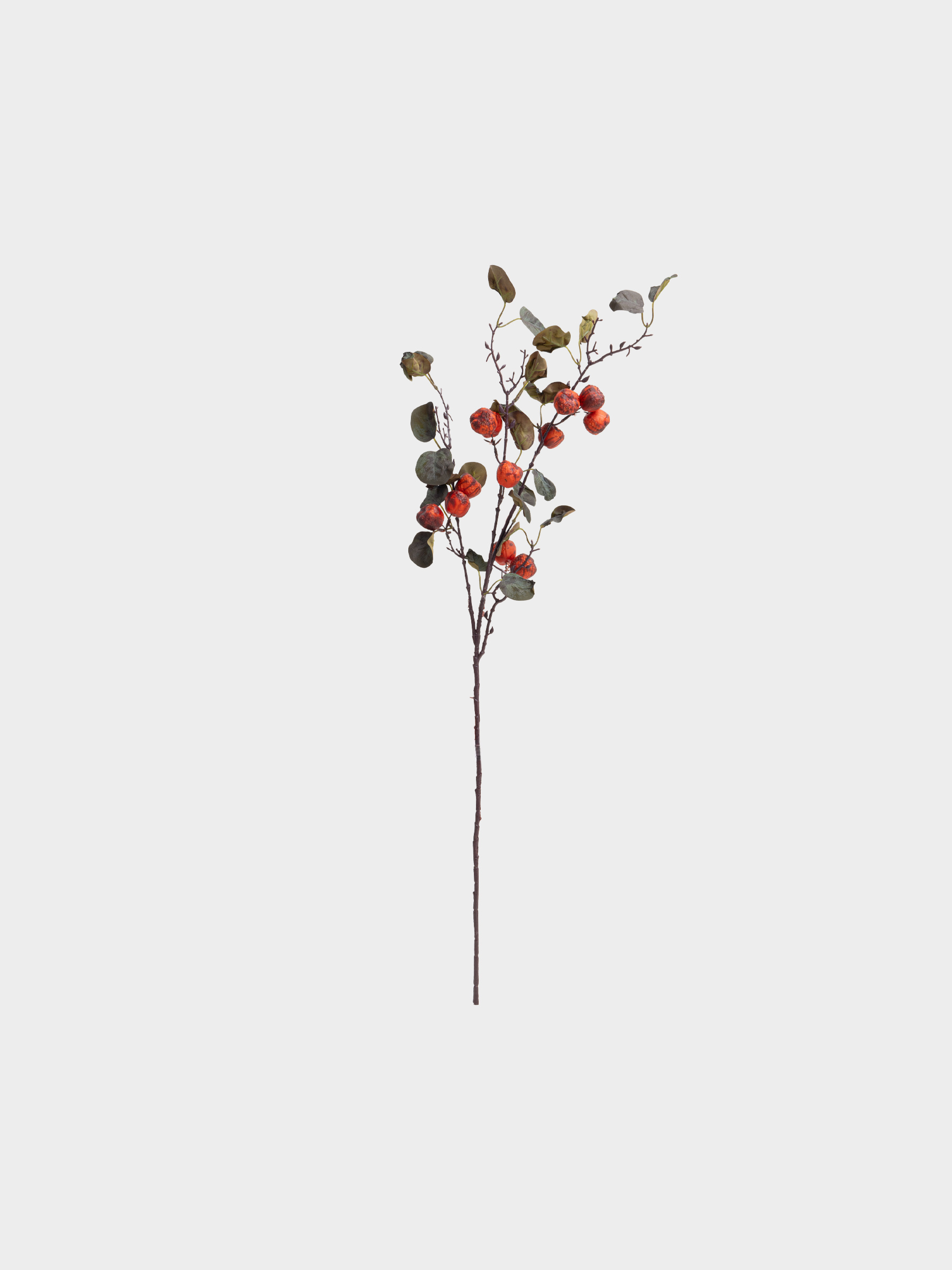 capsule-img