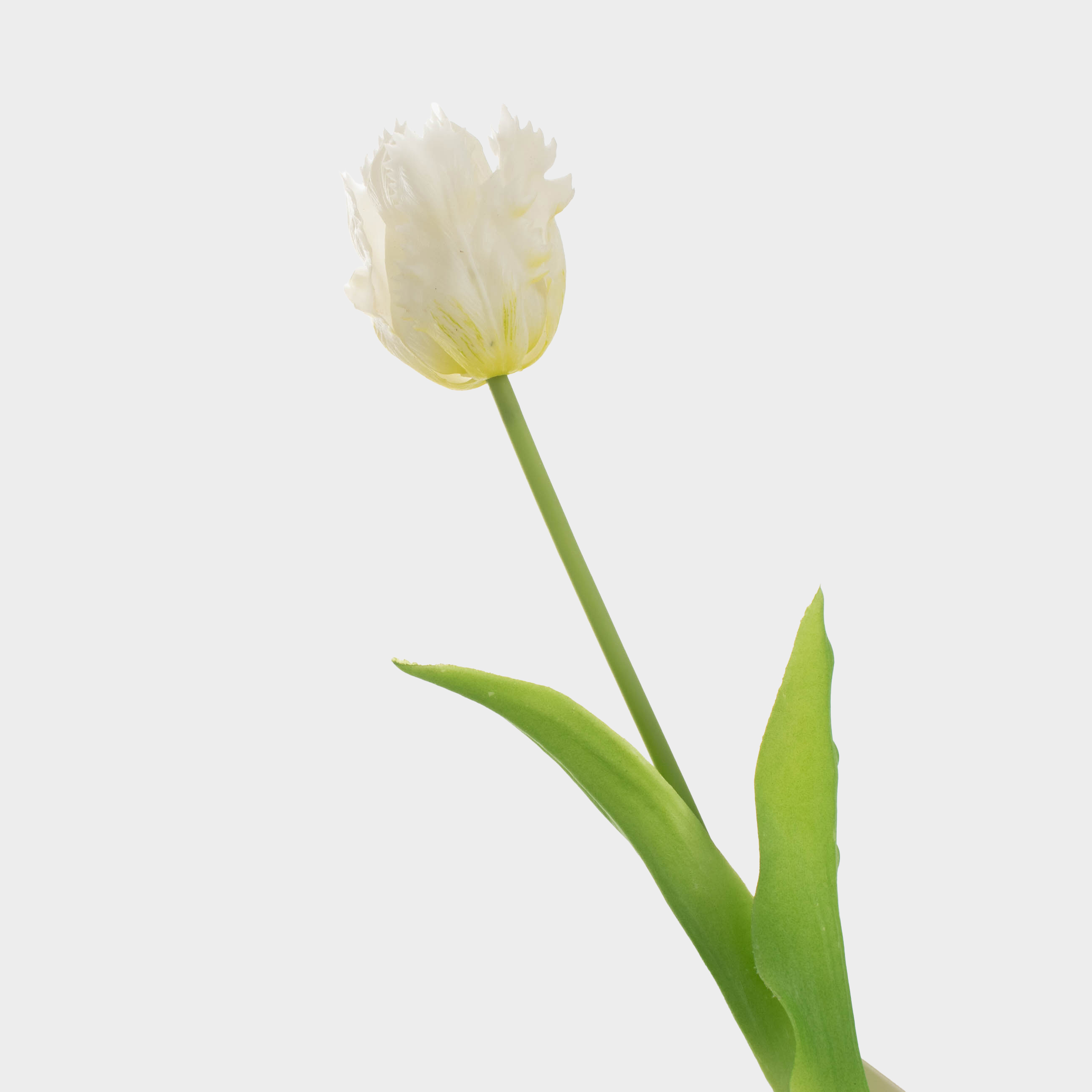 Цветок искусственный, 39 см, пластик/металл, Белый тюльпан, Tulip garden, image-1