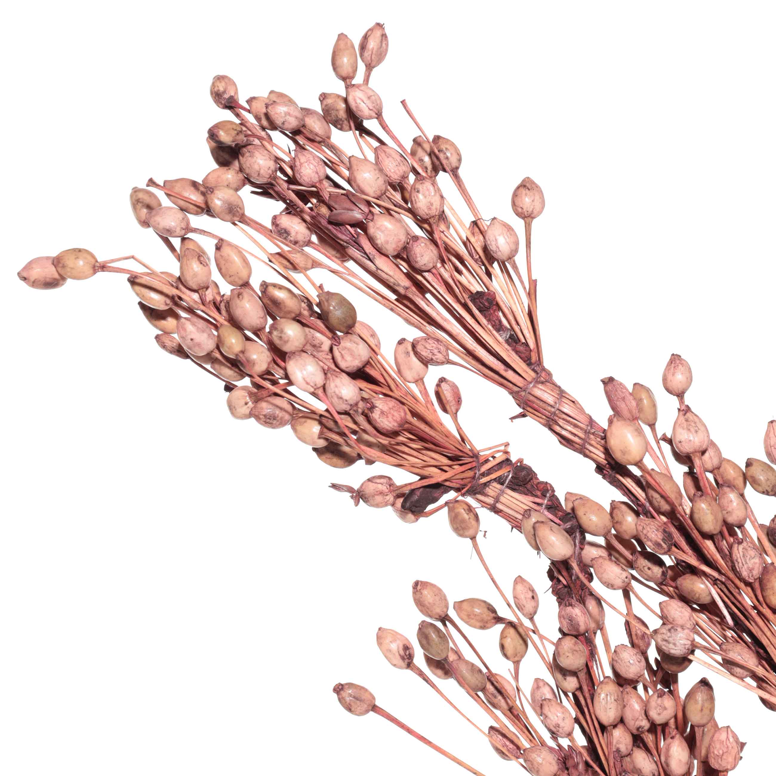 Ветка декоративная, 60 см, сухоцветы, Розовые плоды, Dried flower изображение № 2