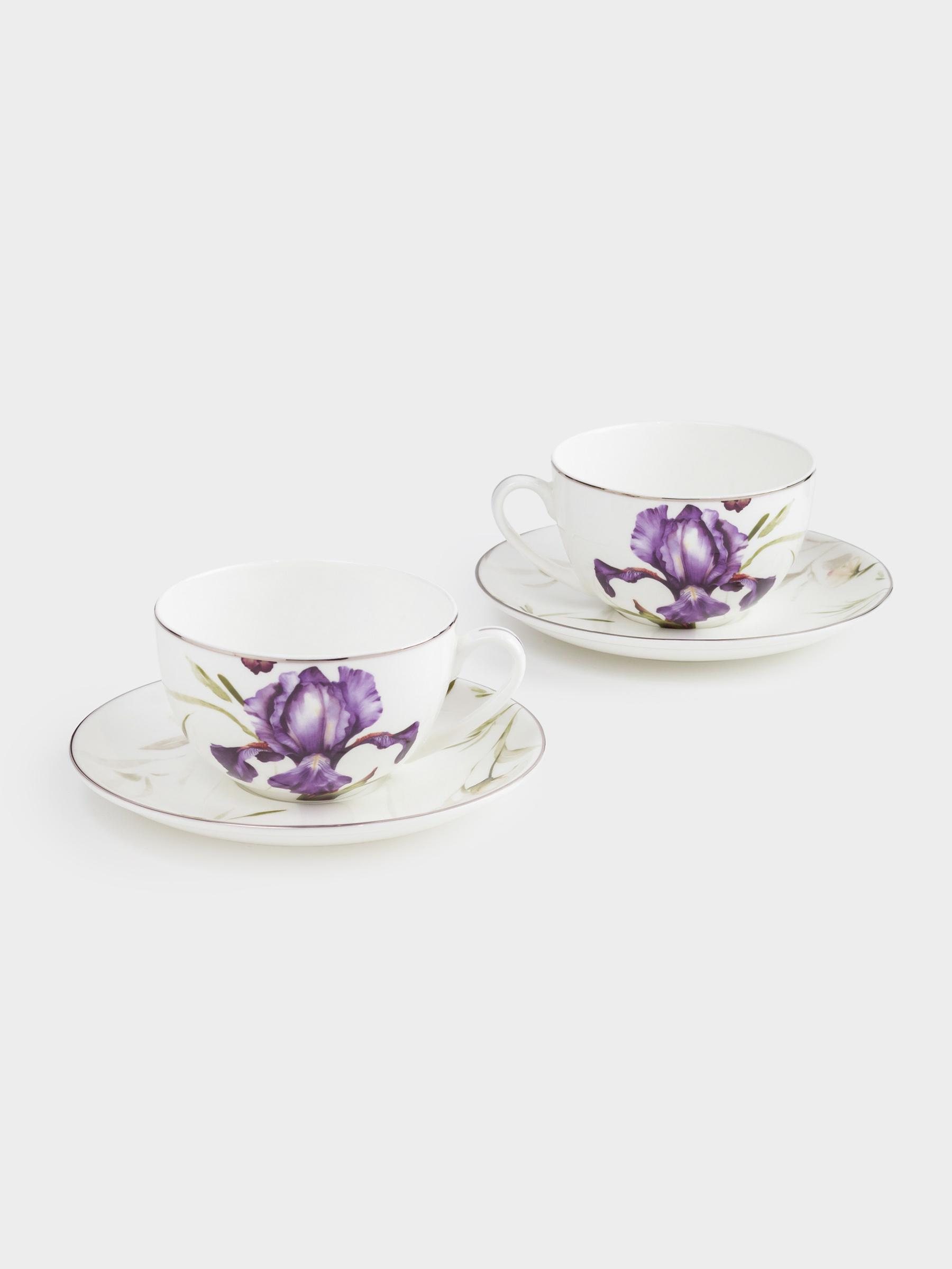 Пара чайная, 2 перс, 4 пр, 300 мл, фарфор F, с серебристым кантом, Ирис, Antarctica Flowers, image-1