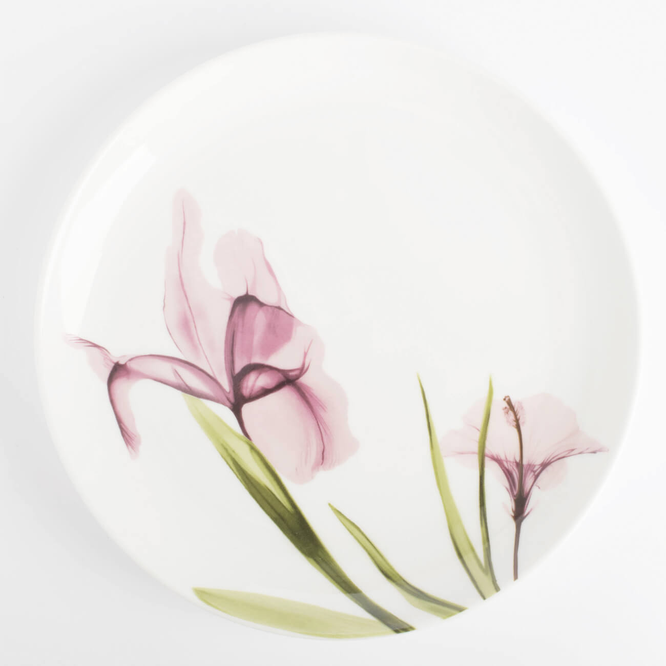 

Тарелка закусочная, 21 см, фарфор N, белая, Пастельные цветы, Pastel flowers