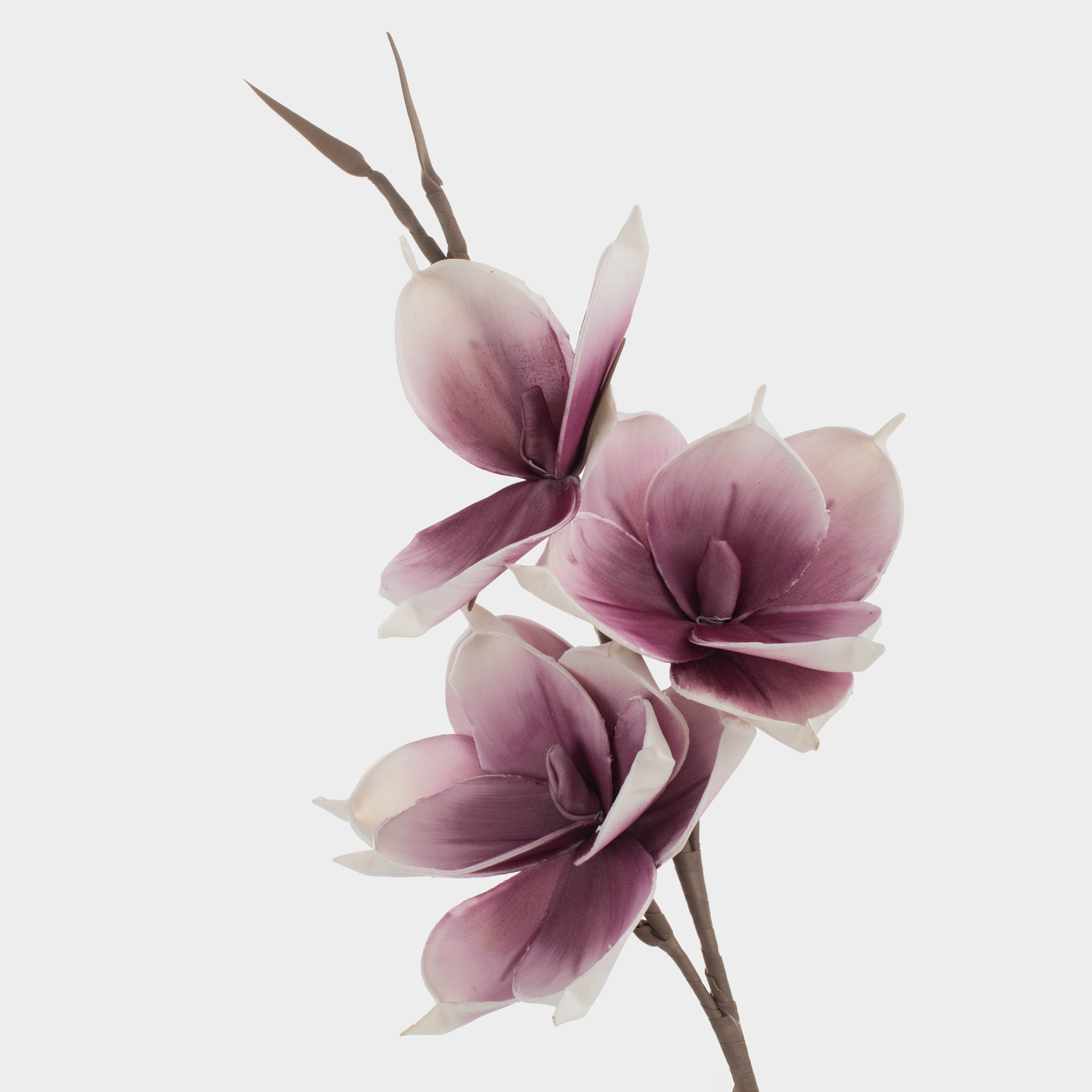 Ветка декоративная, 91 см, пенопласт/металл, Белая магнолия, Magnolia, image-0