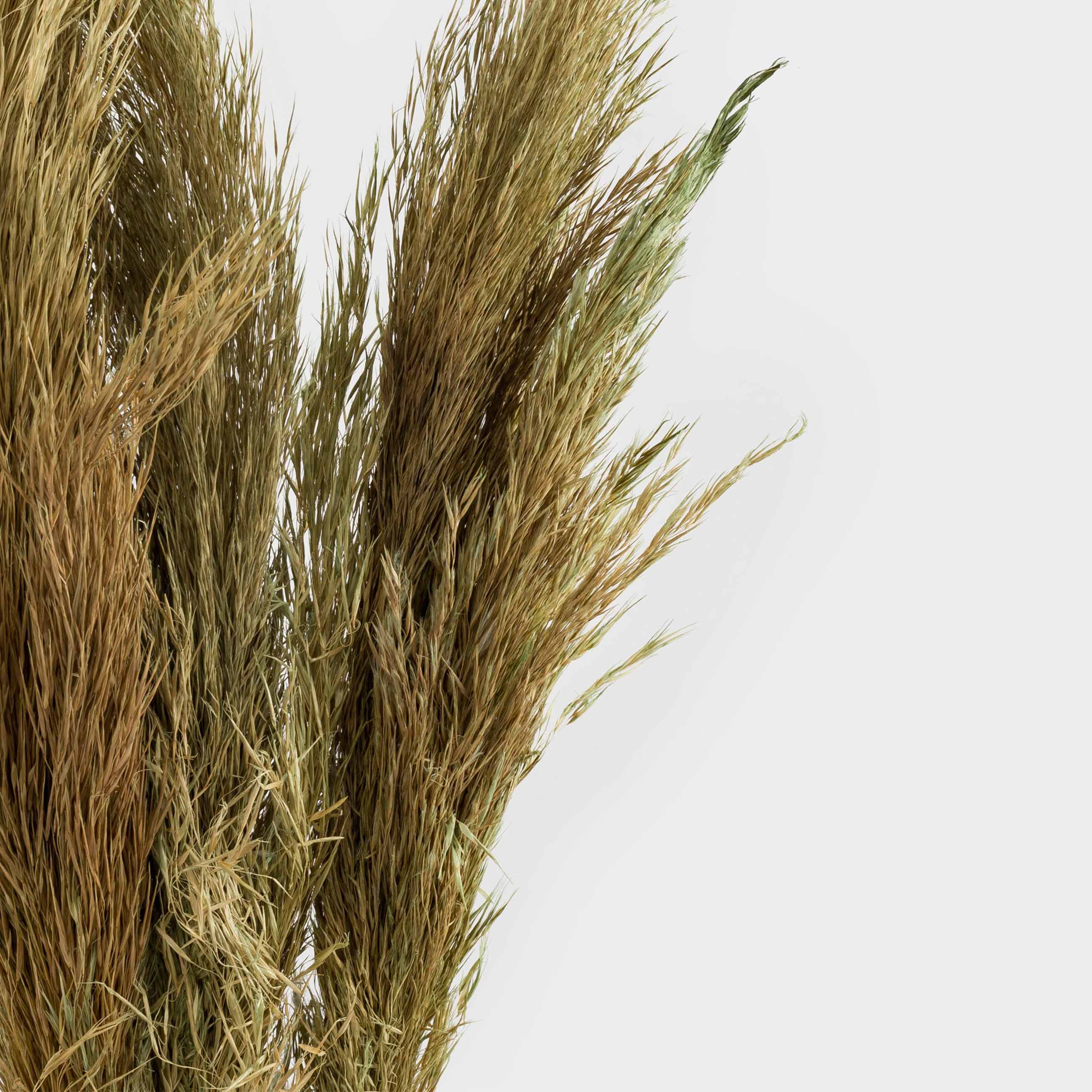 Ветка декоративная, 70 см, сухоцветы, Колосья, Dried flower, image-2