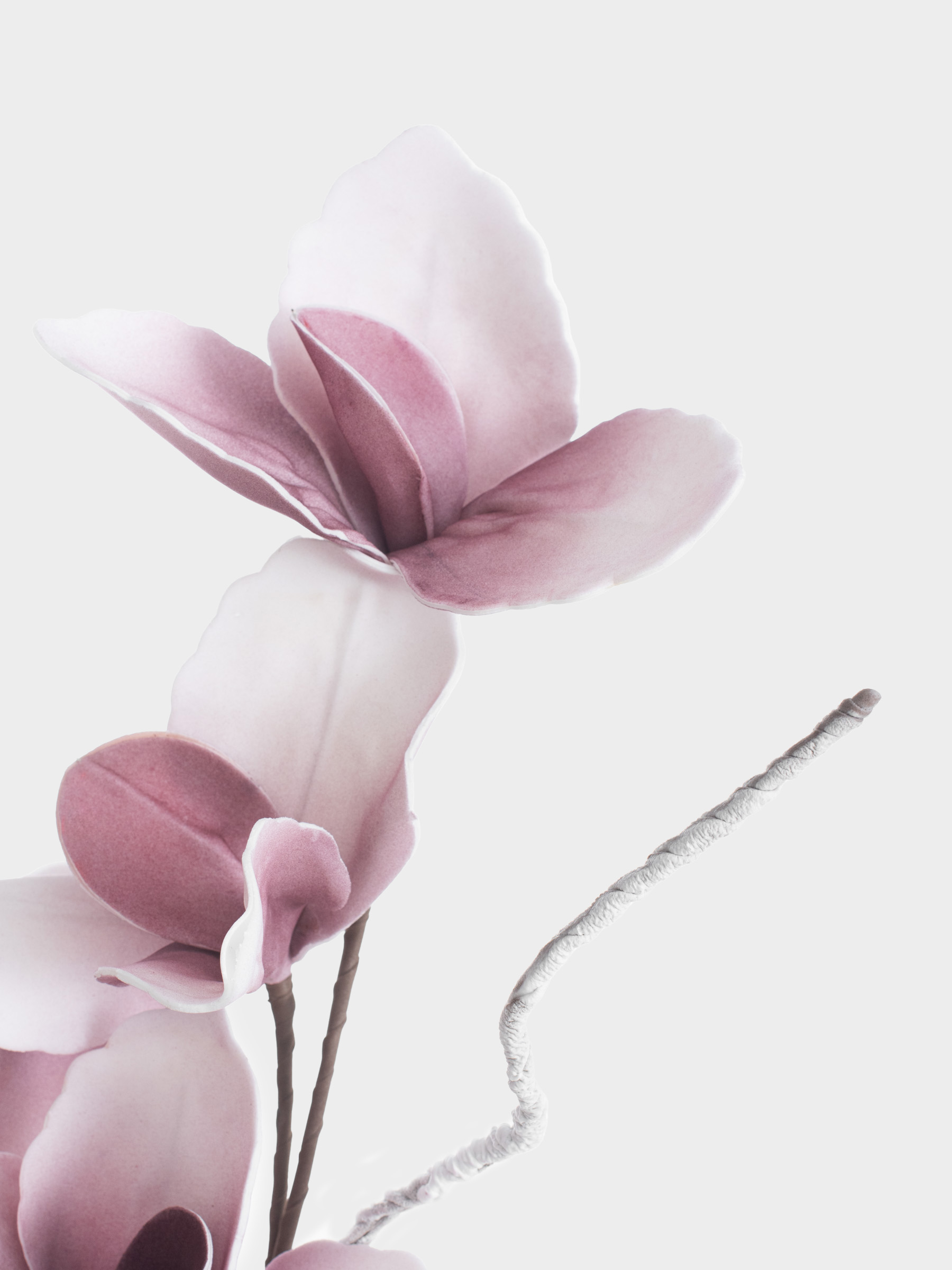 Ветка декоративная, 90 см, пластик/пенопласт, Розовая магнолия, Magnolia, image-2