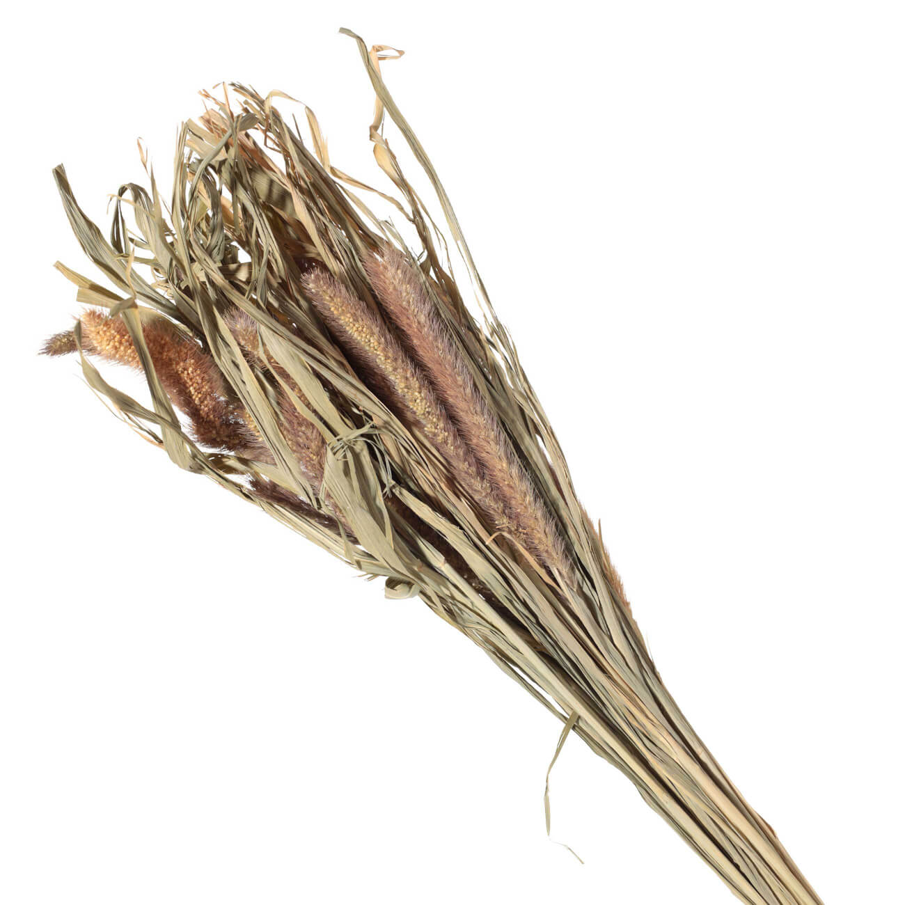 

Букет декоративный, 60 см, сухоцвет, Могар, Dried flower