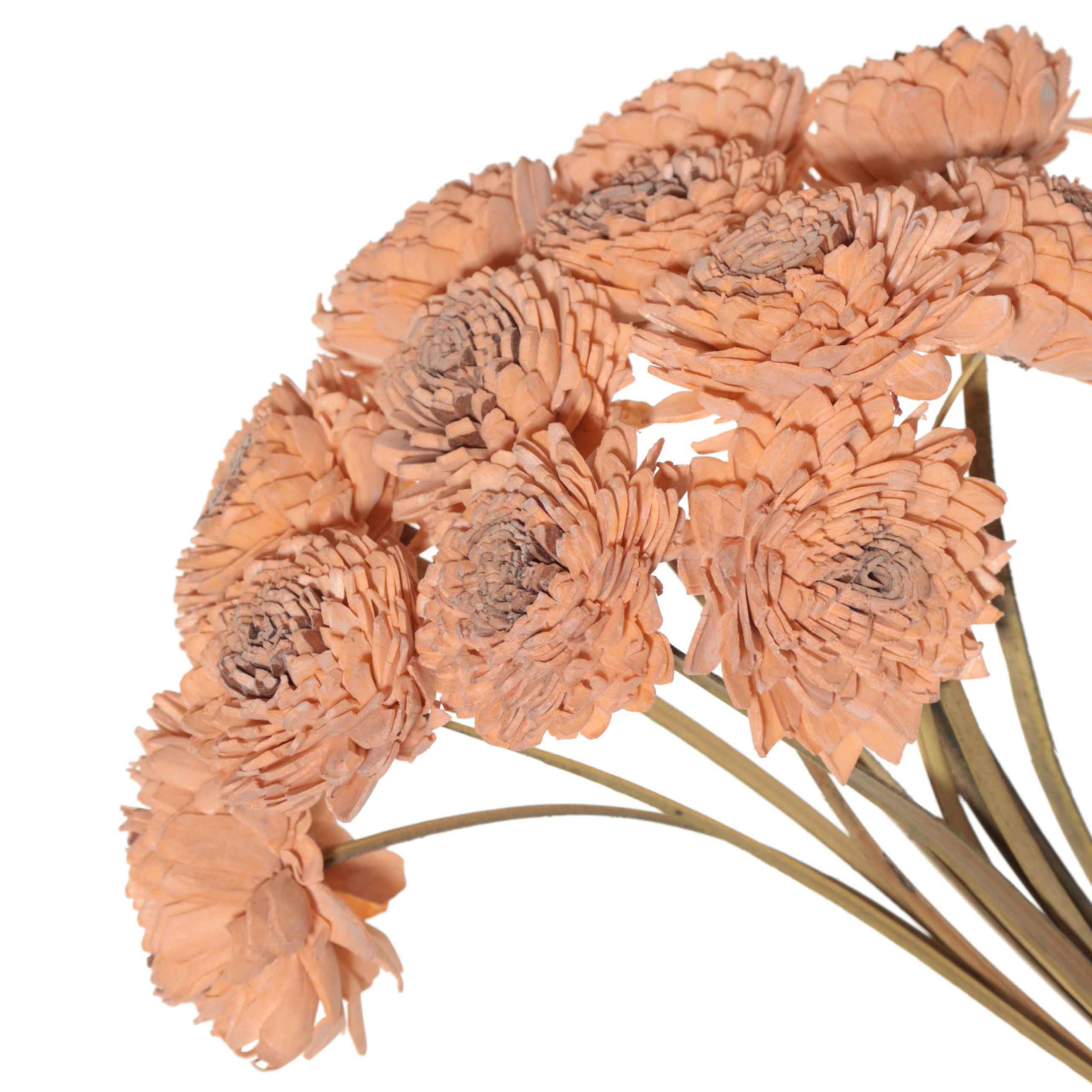 Букет декоративный, 35 см, сухоцветы, Сола, Dried flower изображение № 2