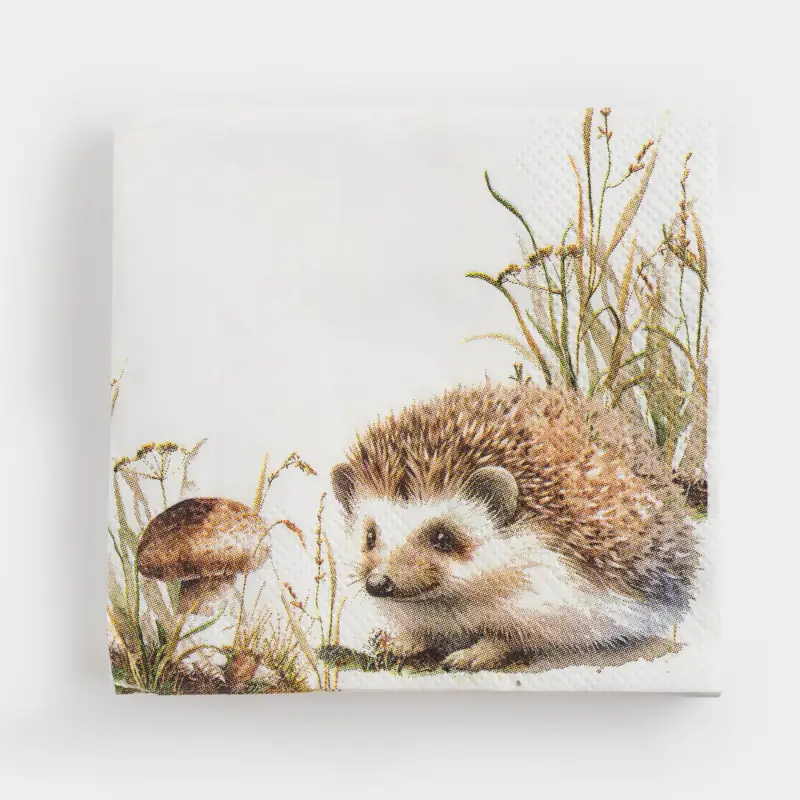 Салфетки бумажные, 21х21 см, 20 шт, квадратные, белые, Еж, Forest hedgehog