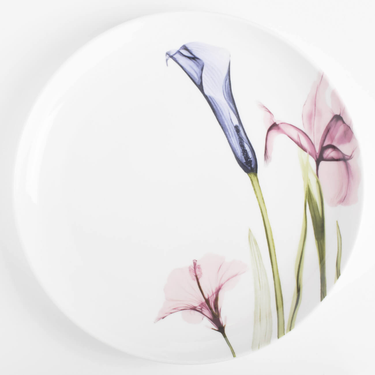 

Тарелка обеденная, 27 см, фарфор N, белая, Пастельные цветы, Pastel flowers