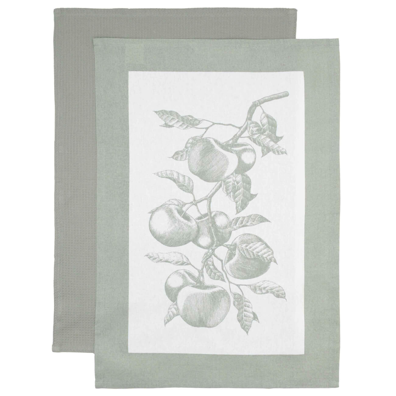Полотенце кухонное, 40х60 см, 2 шт, хлопок, бежевое/зеленое, Яблочная ветвь, Apple garden изображение № 1
