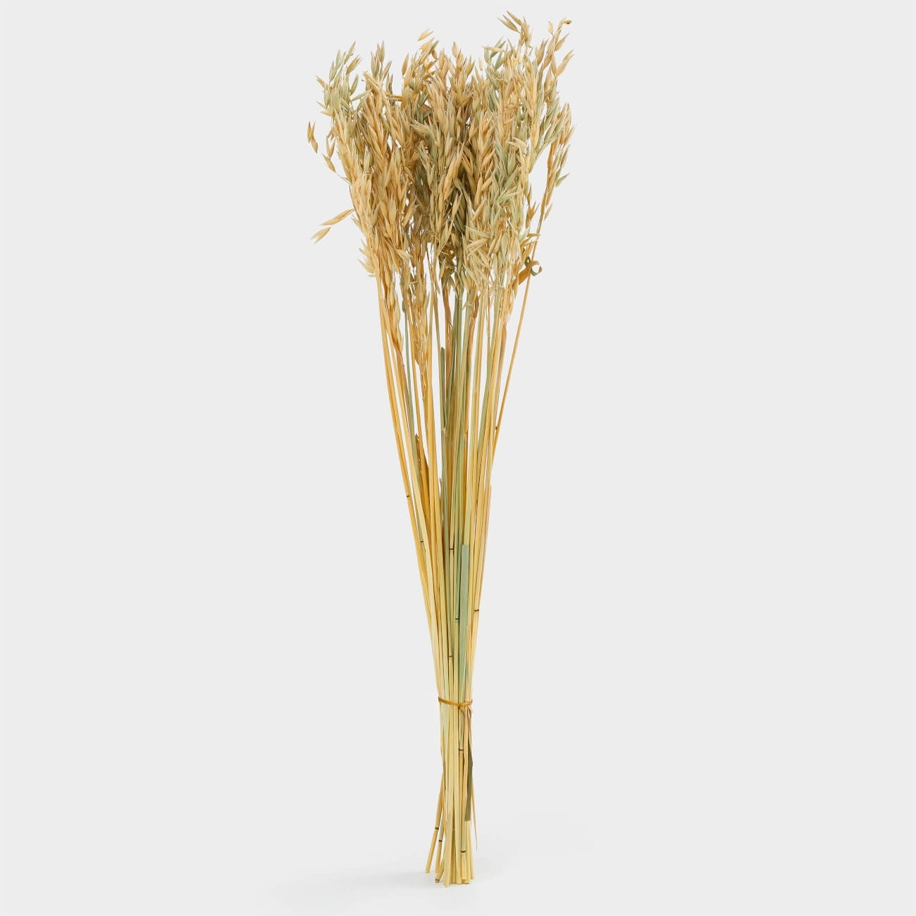 

Букет декоративный, 60 см, сухоцвет, Овес, Dried flower