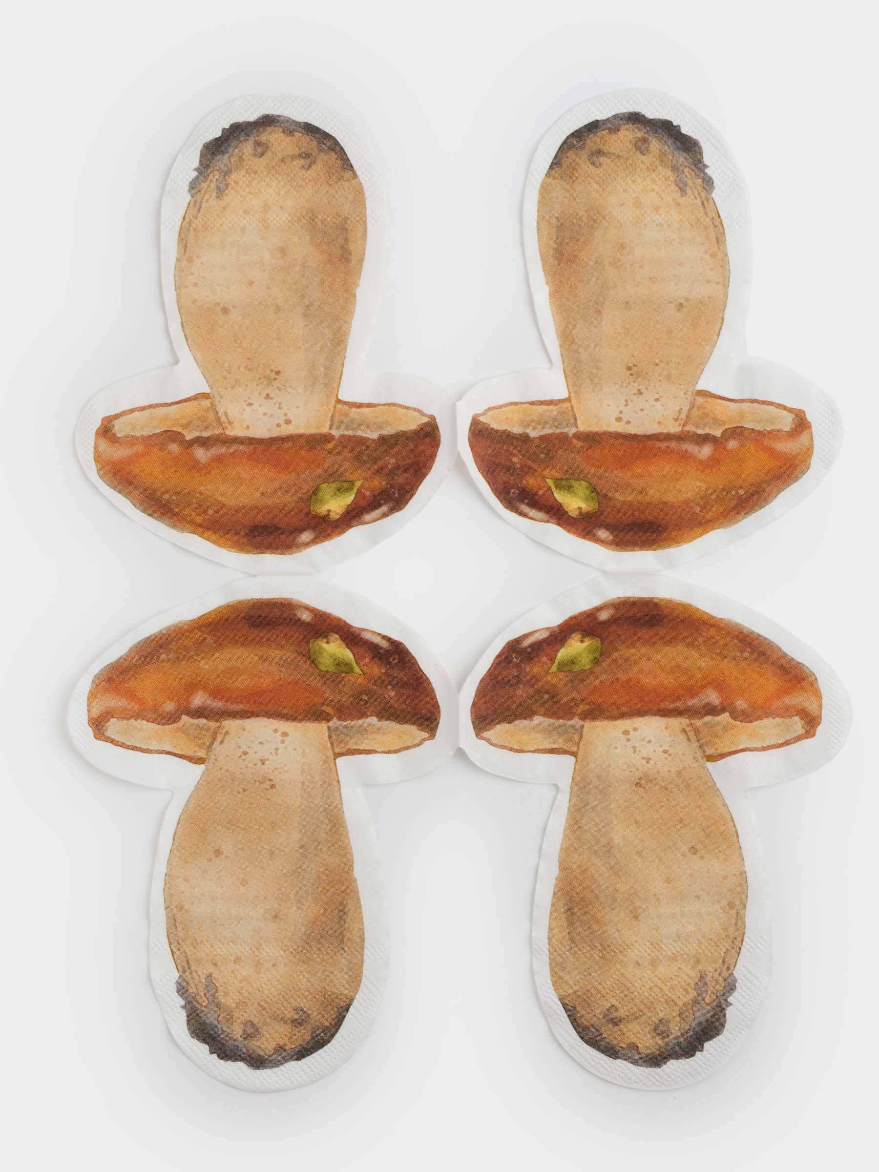 Салфетки бумажные, 25х32 см, 20 шт, фигурные, коричневые, Гриб, Fungi, image-5