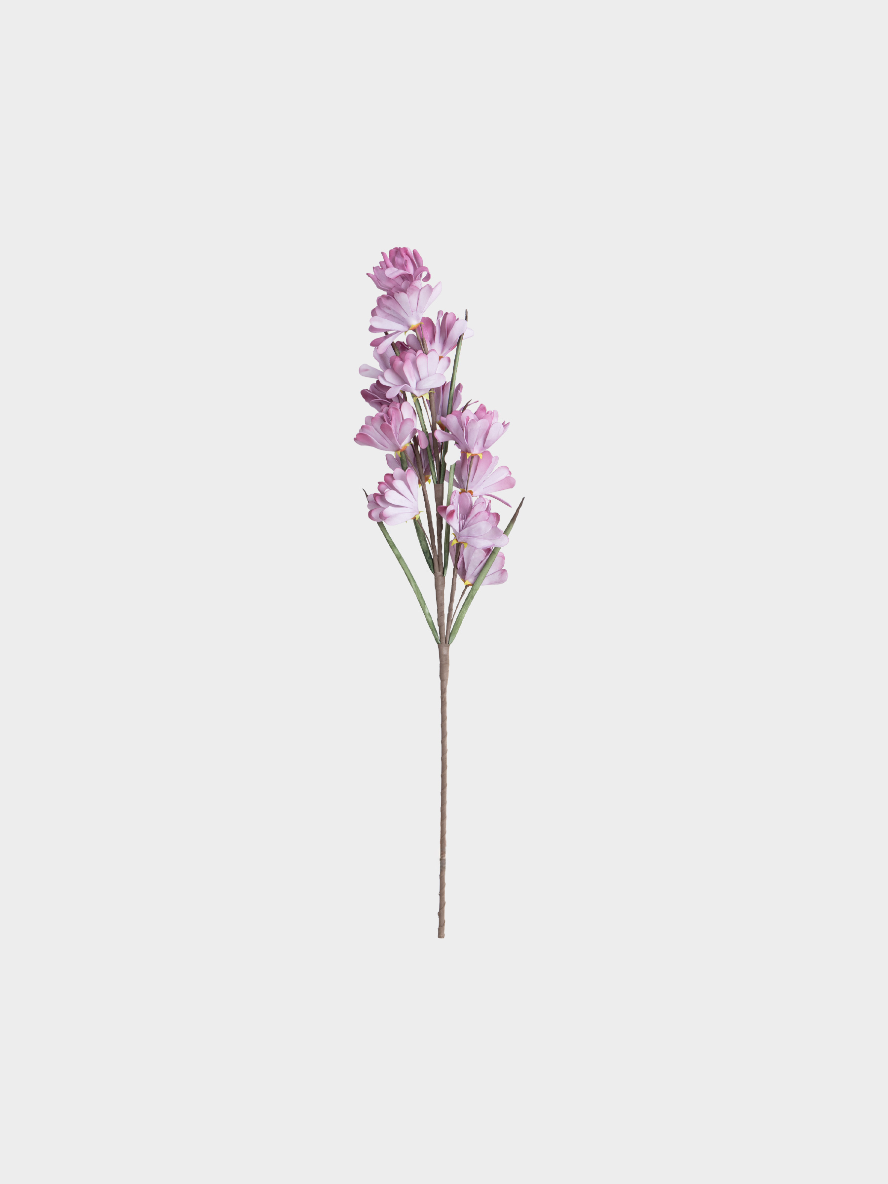 Ветка декоративная, Flower garden
