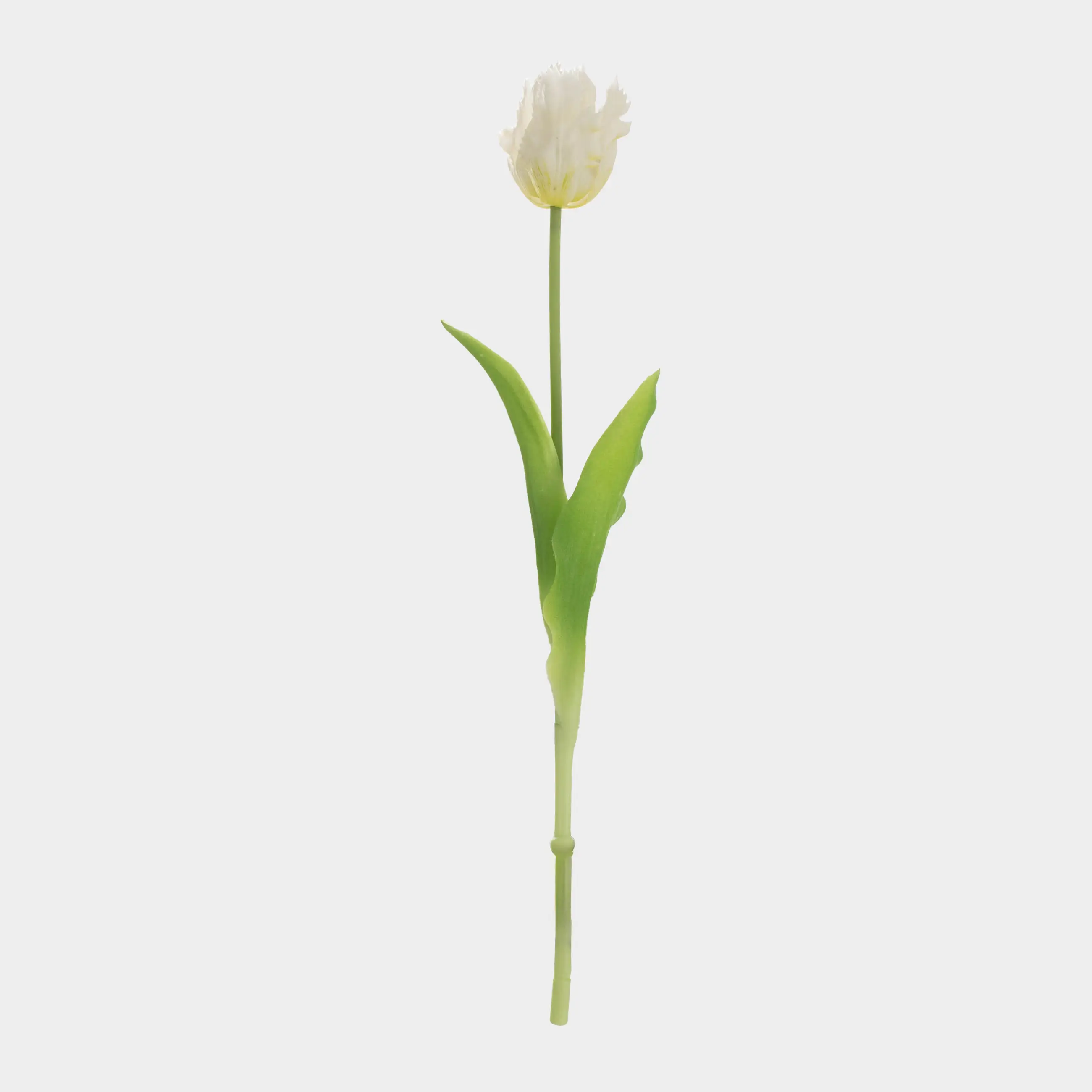 Цветок искусственный, 39 см, пластик/металл, Белый тюльпан, Tulip garden