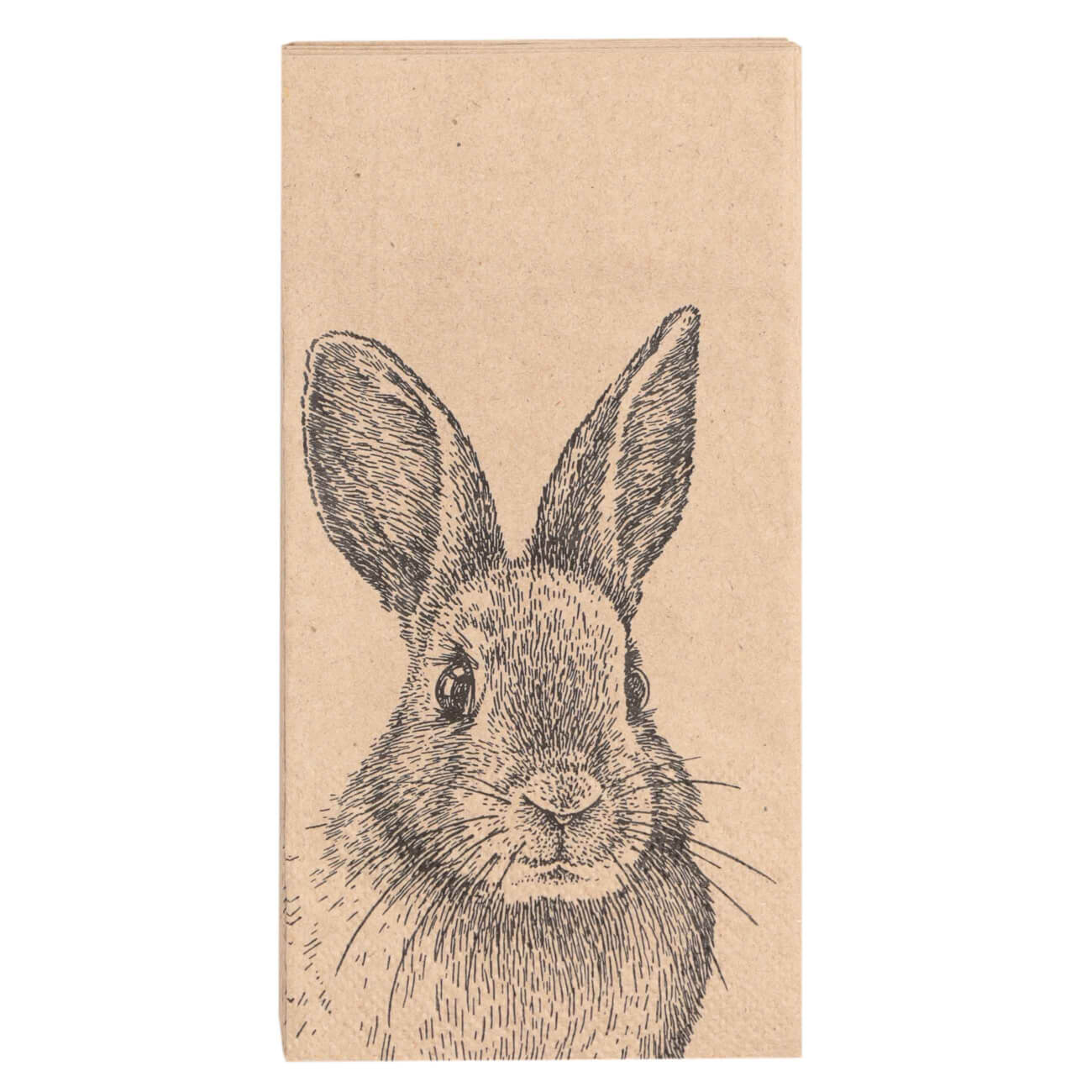 Салфетки бумажные, 33х33 см, 20 шт, прямоугольные, Кролик, Easter