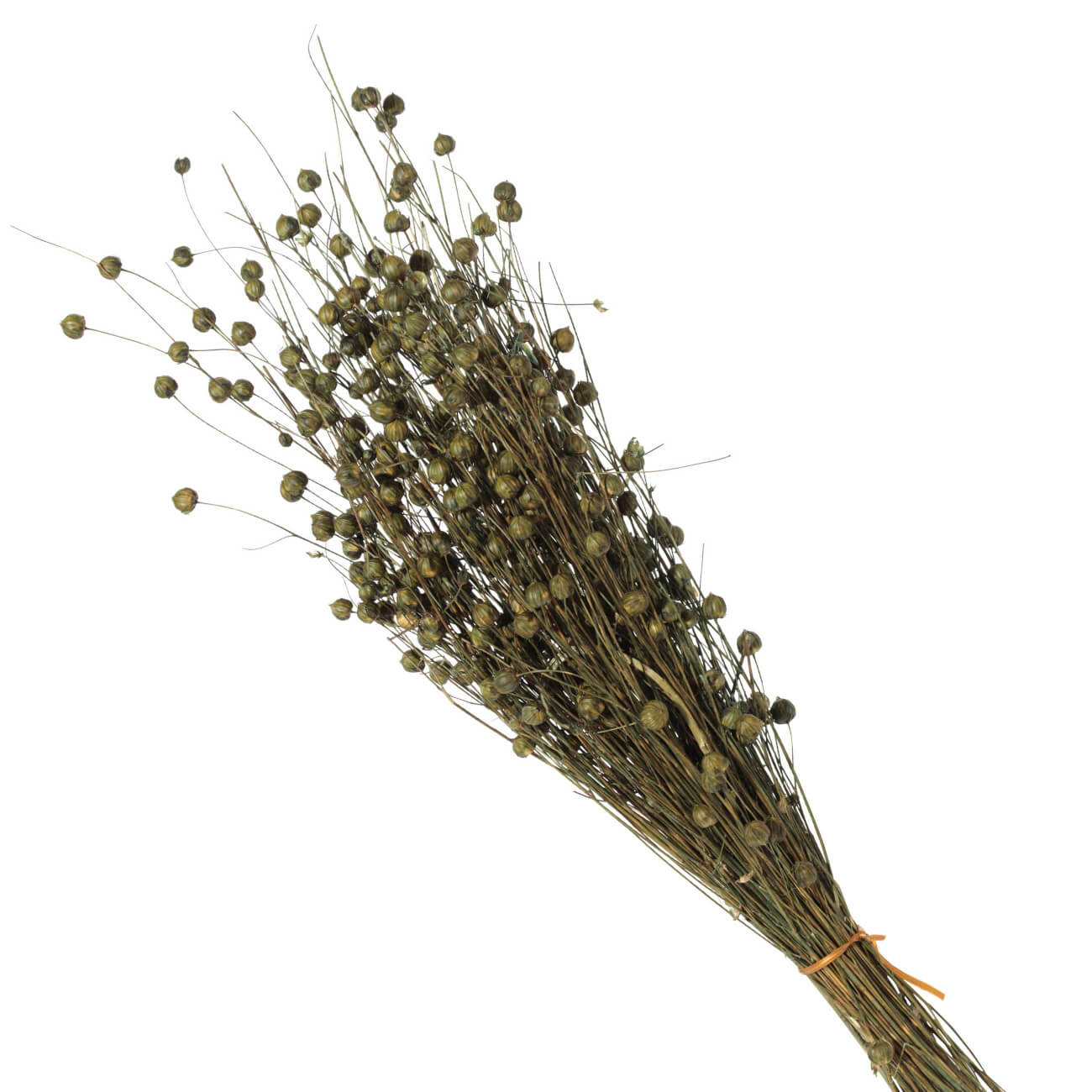

Букет декоративный, 40 см, сухоцветы, Лен, Dried flower