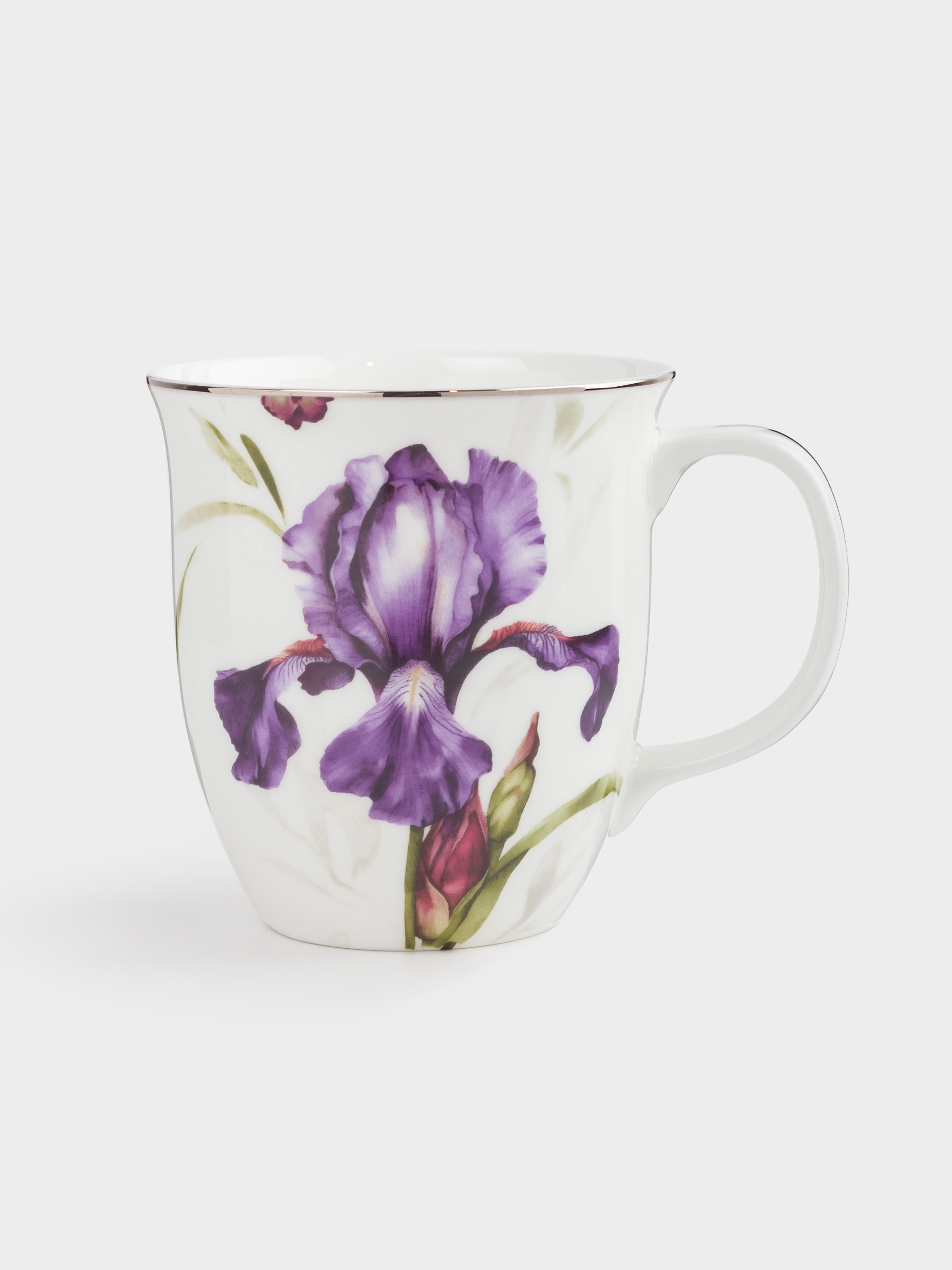 Кружка, 400 мл, 4 шт, фарфор F, с серебристым кантом, Ирис, Antarctica Flowers, image-3