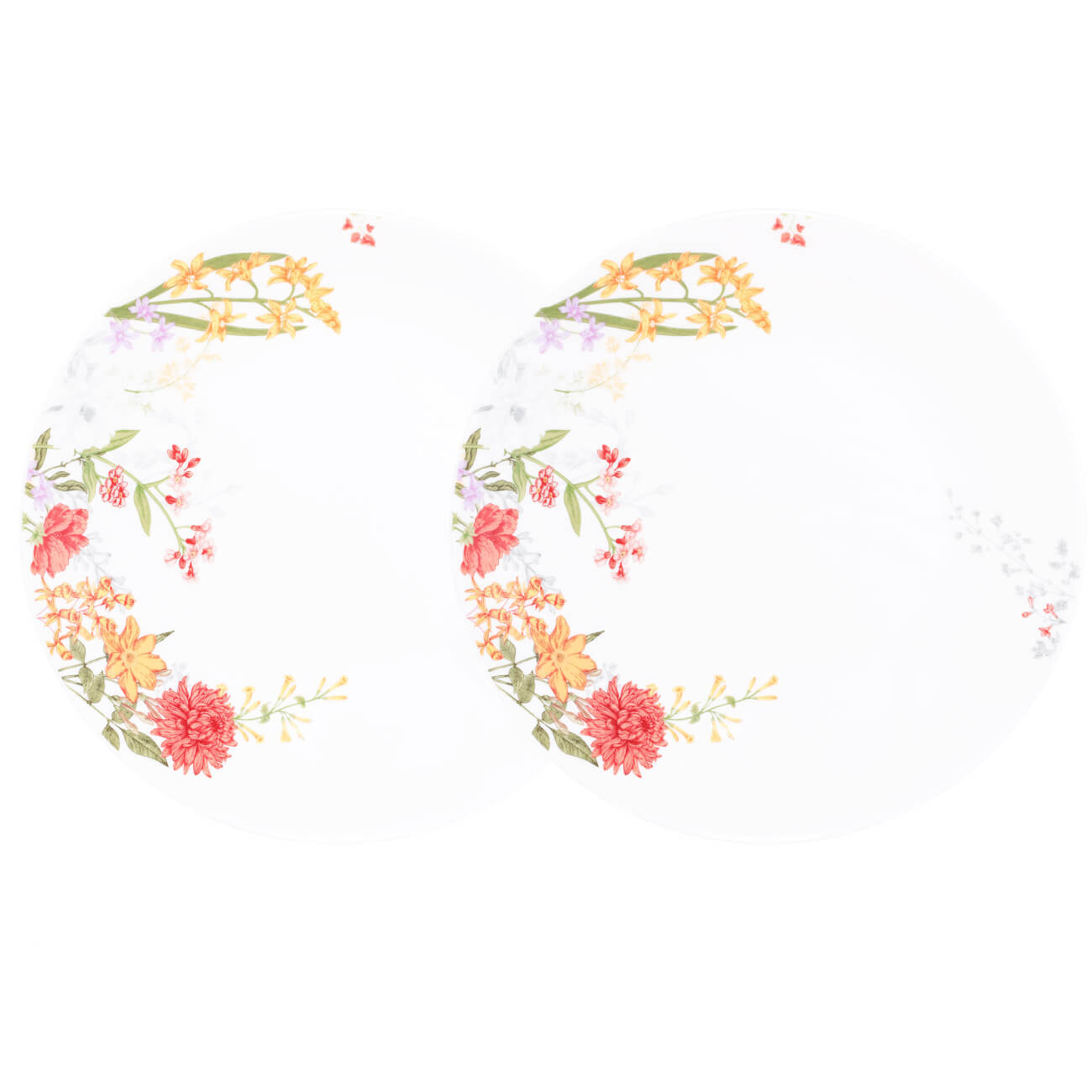 Тарелка закусочная, 23 см, 2 шт, фарфор N, Цветочная оранжерея, Florence - фото 1