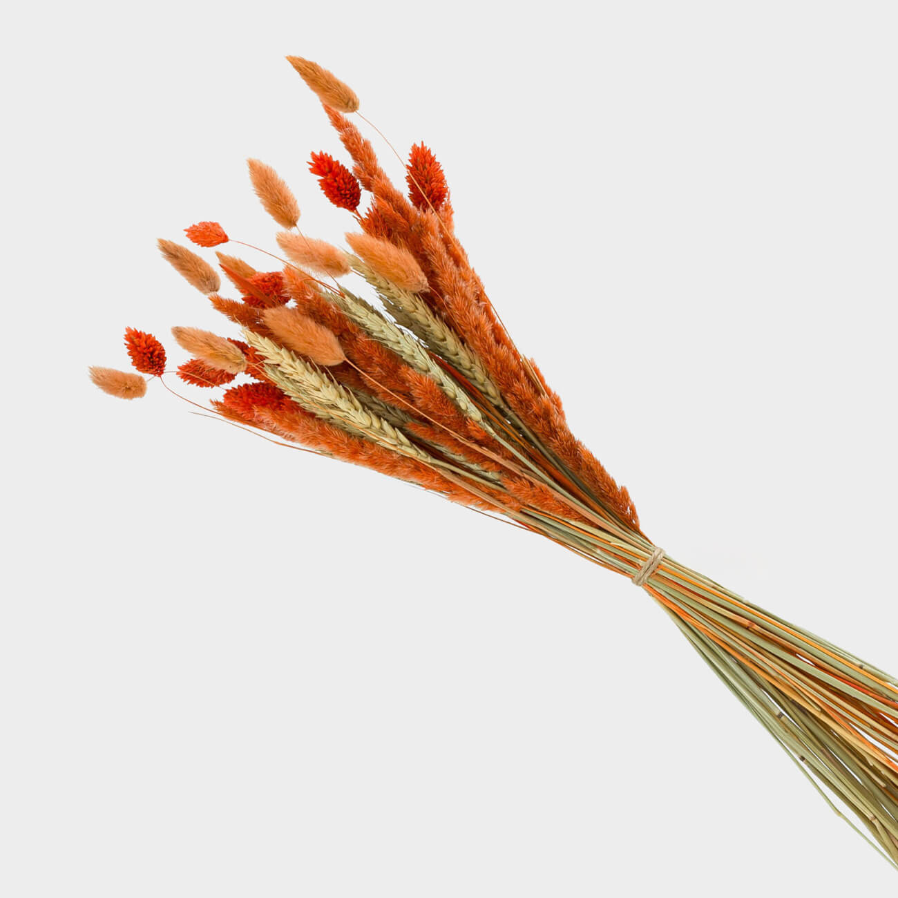 

Букет декоративный, 50 см, сухоцвет, Микс из сухоцветов, Dried flower
