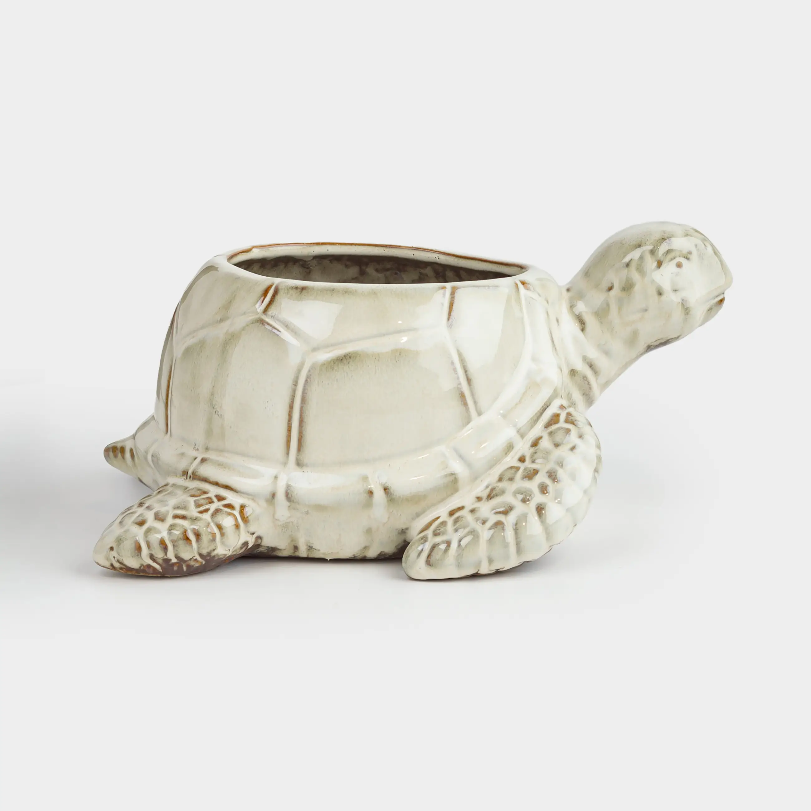 Конфетница, 26х13 см, фарфор P, бежево-коричневая, Черепаха, Grand turtle