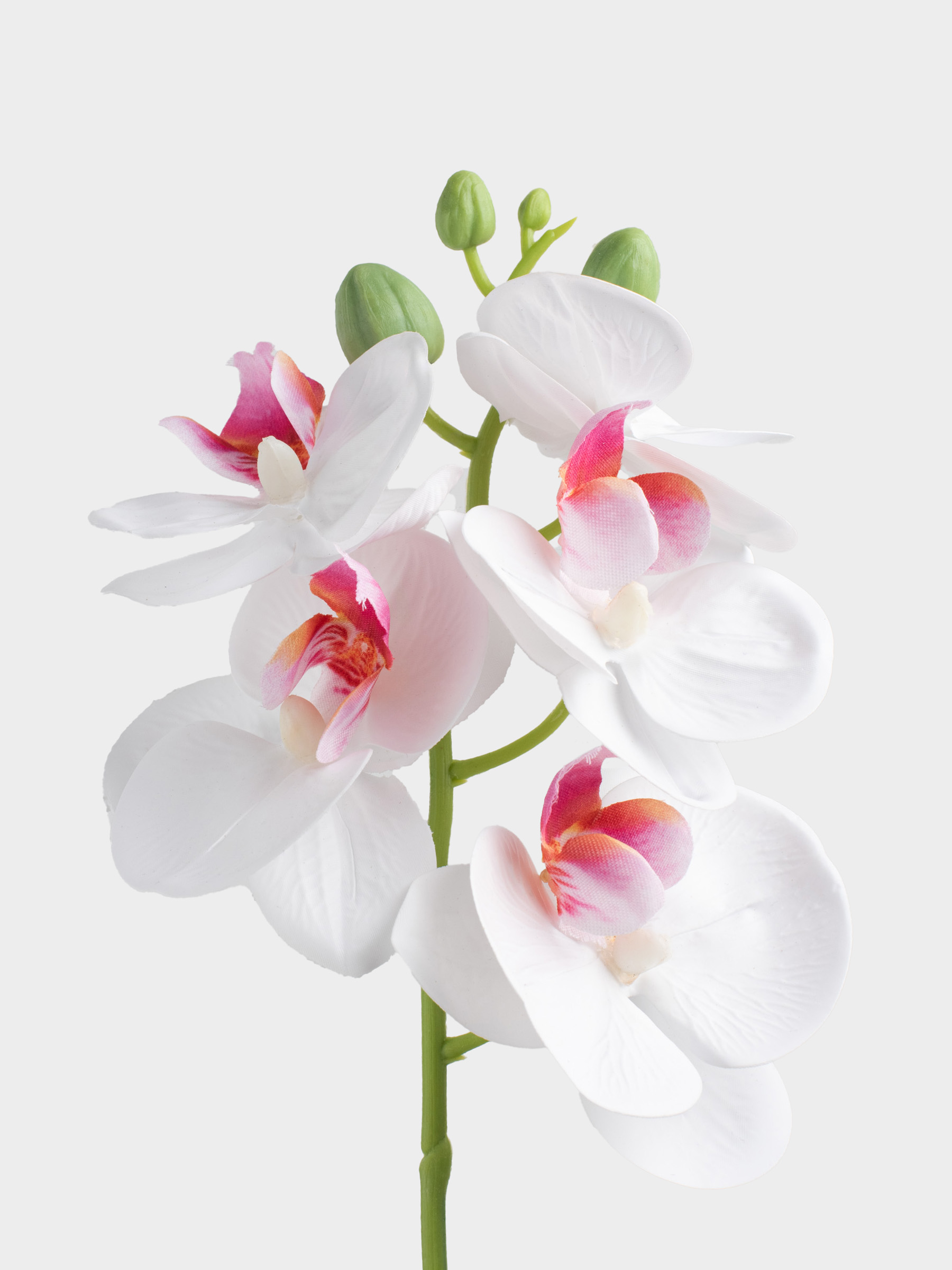 Букет искусственный, 26 см, в вазе, ТЭП/стекло, Белая орхидея, Orchid, image-3